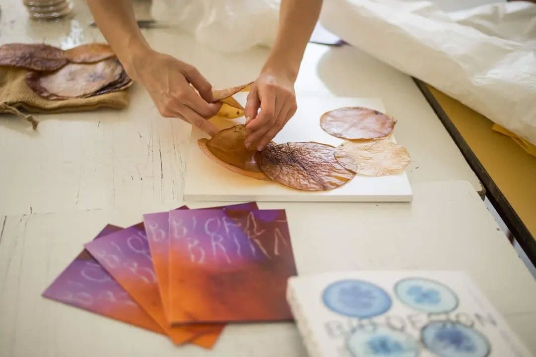 Project BIOFABRIKA (BIOFACTORY)
Workshop and Lecture II. at Bogdan Šuput design school. Photo courtesy of Maja Halilovic.