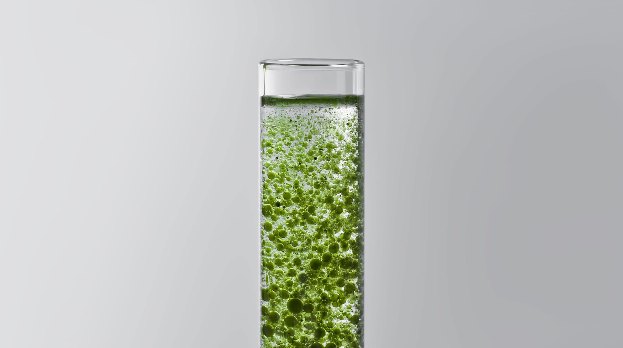 From Algae to Fabric: The Development of Algaeing’s Microalgae Dyes