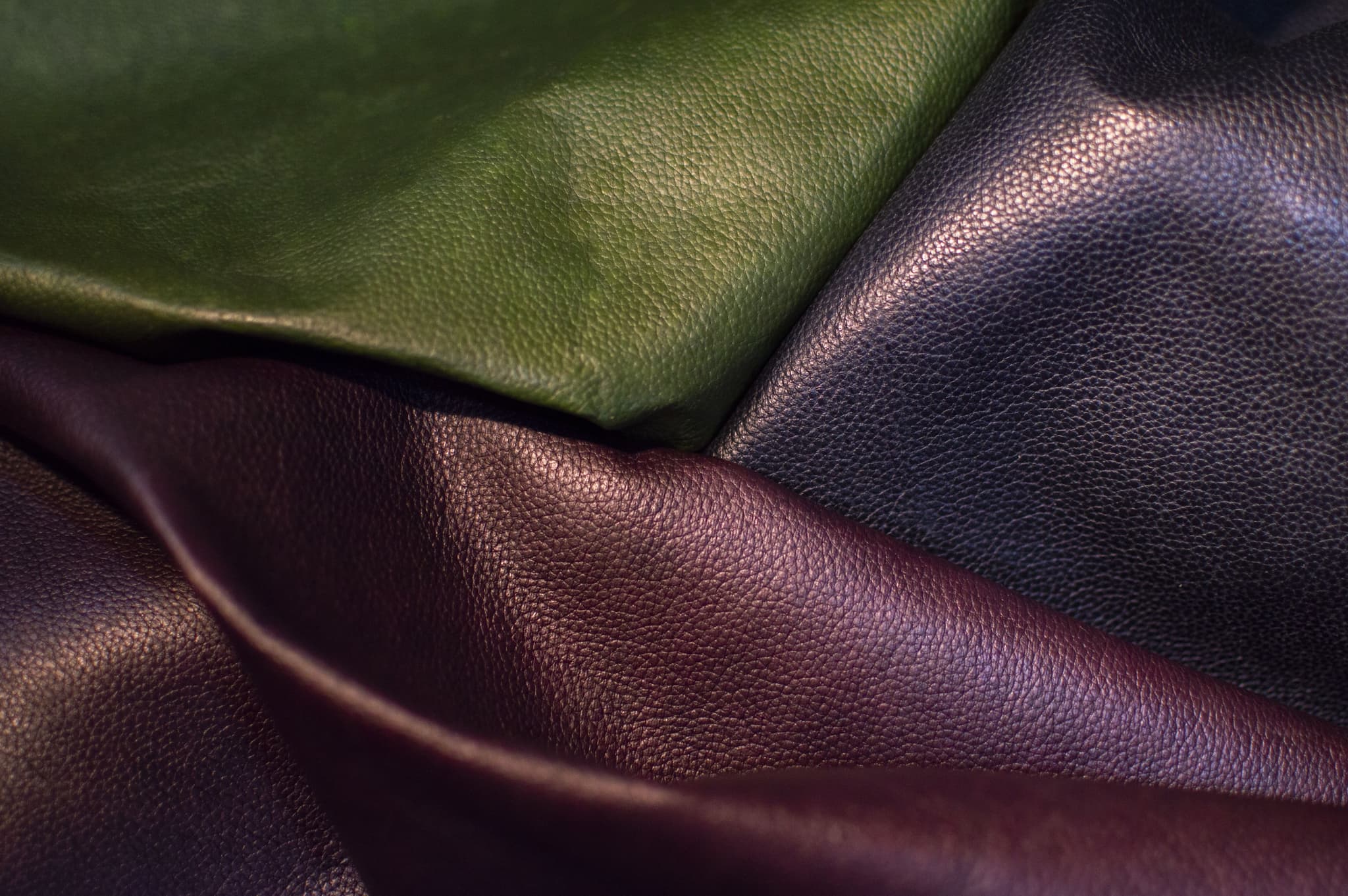   Polybion, Alexis and Axel Gómez-Ortigoza 