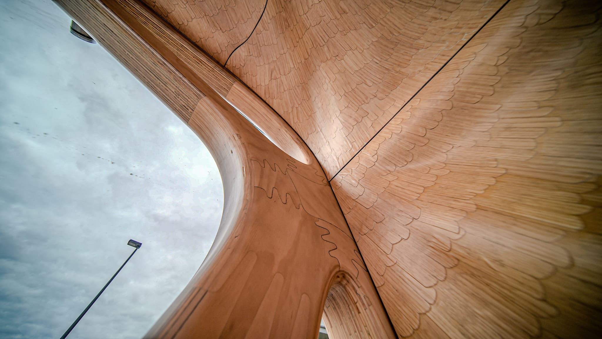 Nature’s Blueprint: Strong by Form’s Biomimetic Wood Aesthetic