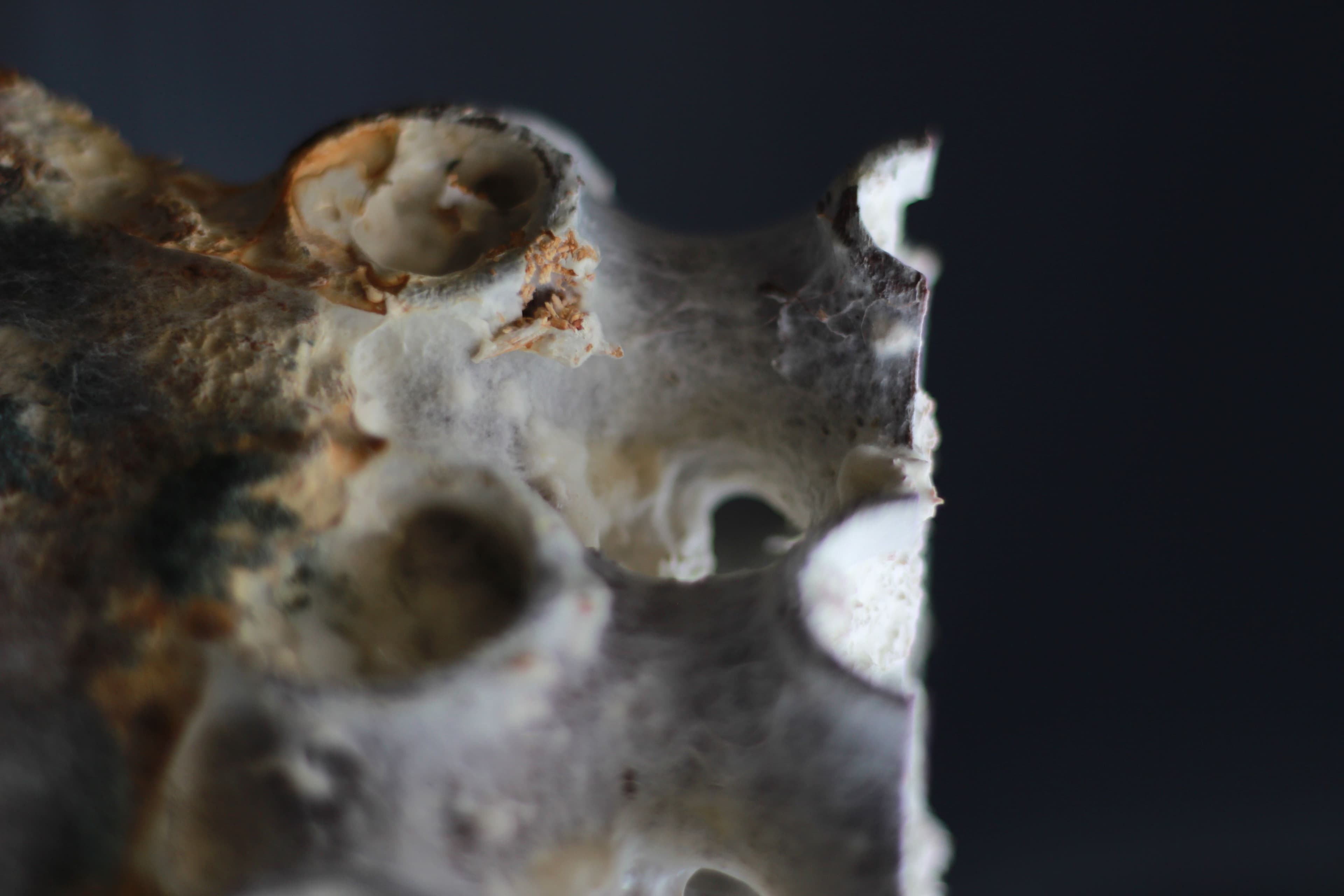 AI Pushes Material Choice Upstream, From Geometry to LCA