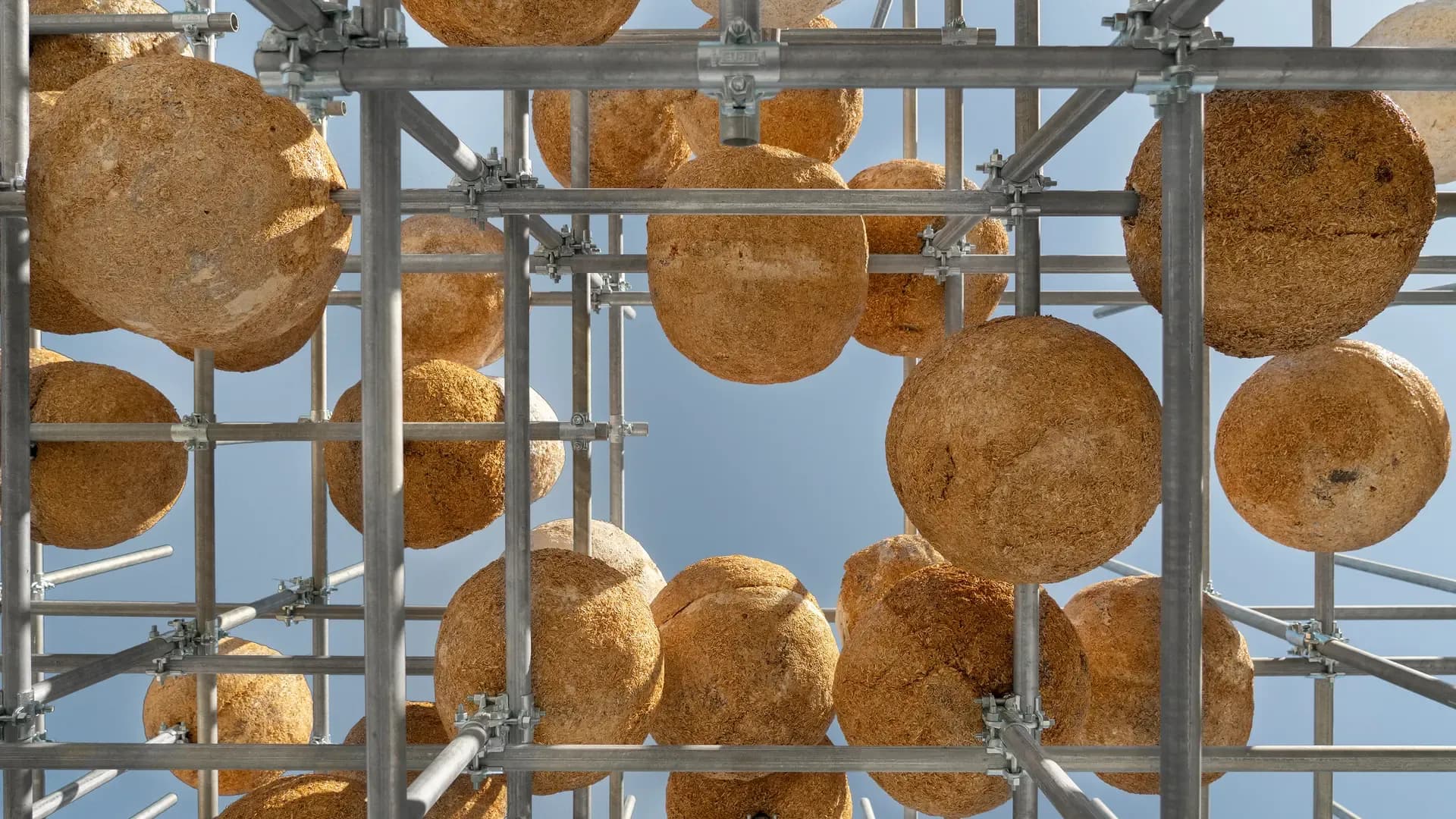  Growing Matters Installation, Image Credits: Henning Larsen 