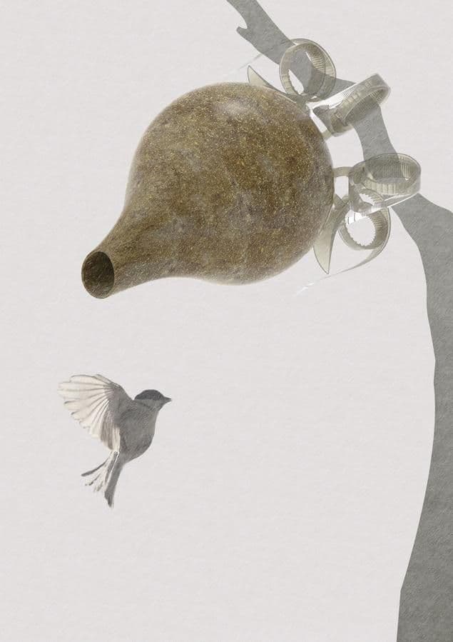  NOYST project aims to design safe birdhouses for chickadees to help enable them to breed and thrive. 