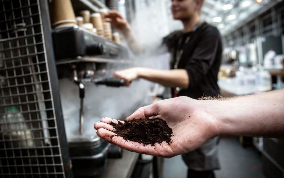 Coffeeco and The Unexpected Seduction of Coffee Residue