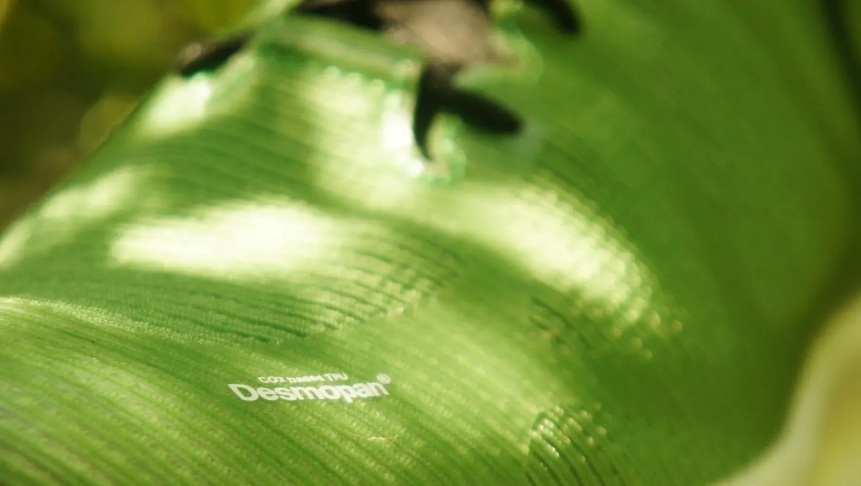  Covestro strengthens portfolio of alternative raw materials 