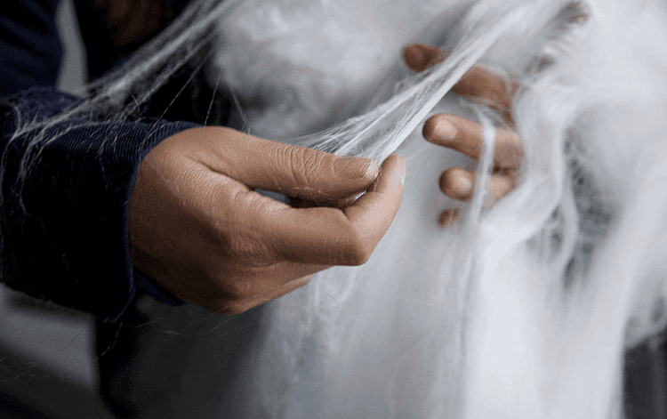 Spinnova | Finland

From Nordic forests to fashion runways — Spinnova turns wood pulp and agricultural waste into premium textile fibres, without a drop of harmful chemicals. Their patented mechanical process slashes water use and CO₂ emissions, producing SPINNOVA® fibre that’s 100% biodegradable, recyclable, and built for a circular future. Backed by partners like adidas and pulp giant Suzano, they’re scaling up to prove that high performance and low impact can coexist.