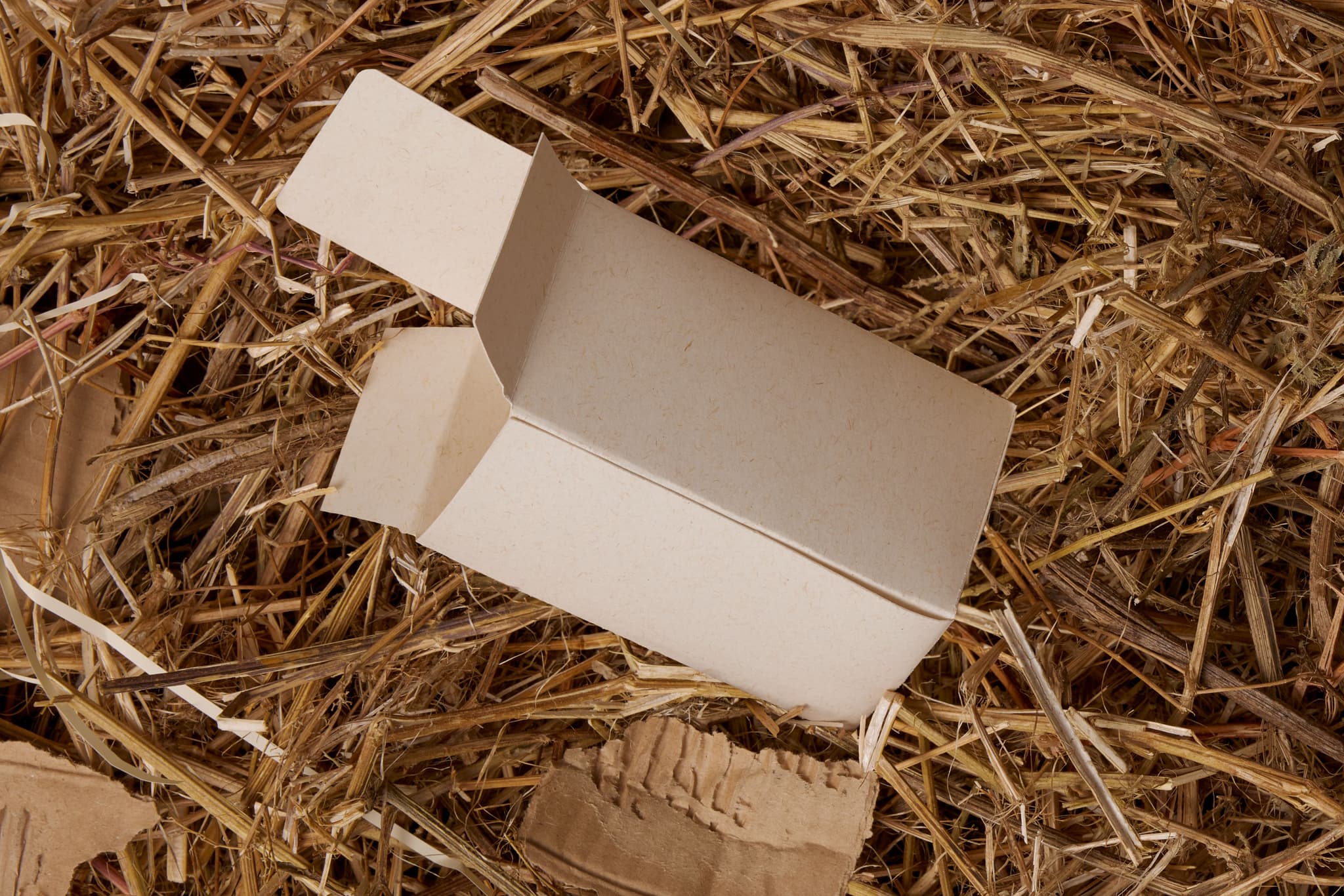 Restalk Box Close Look