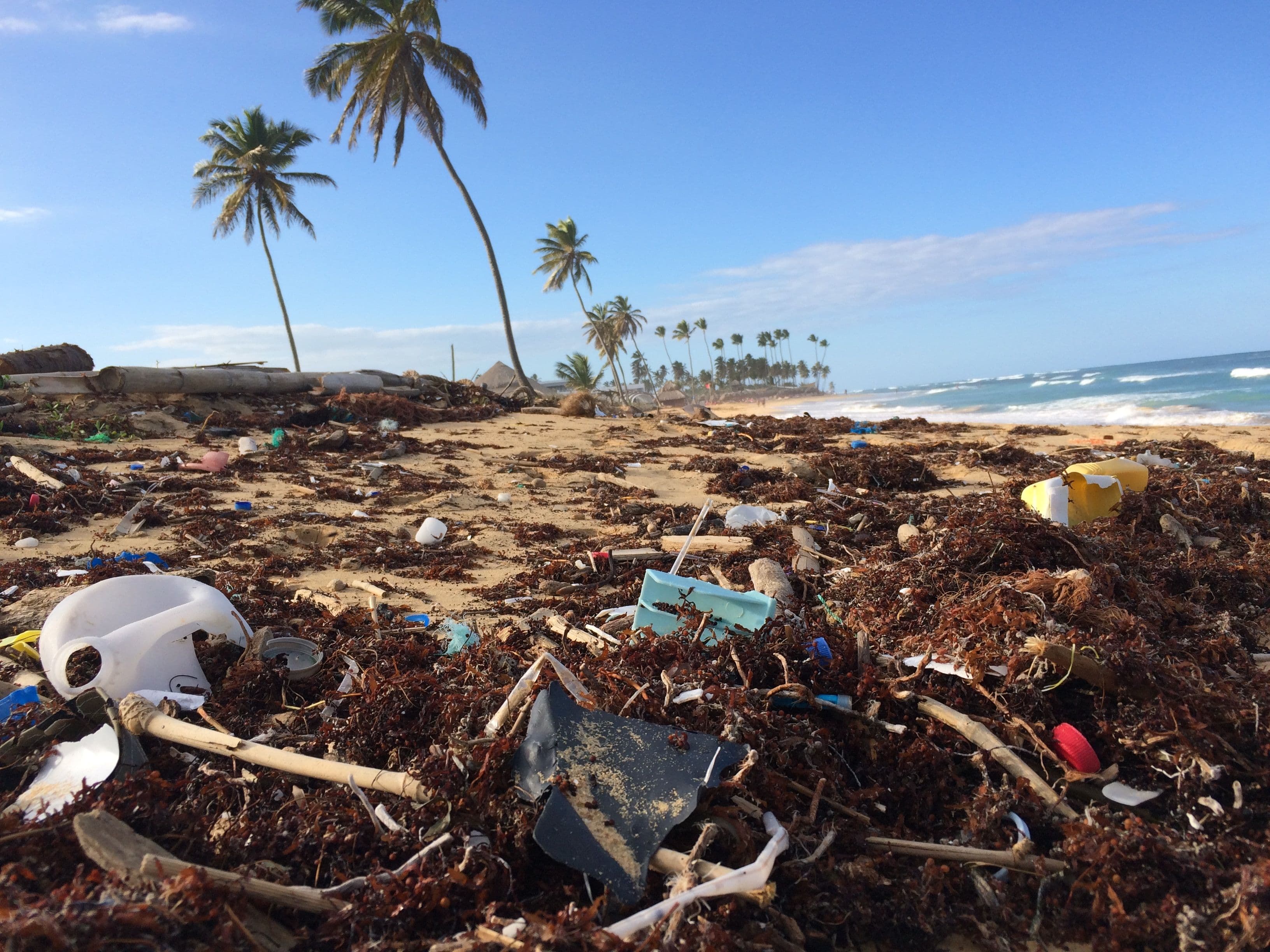 How to (really) end the single-use plastic epidemic?