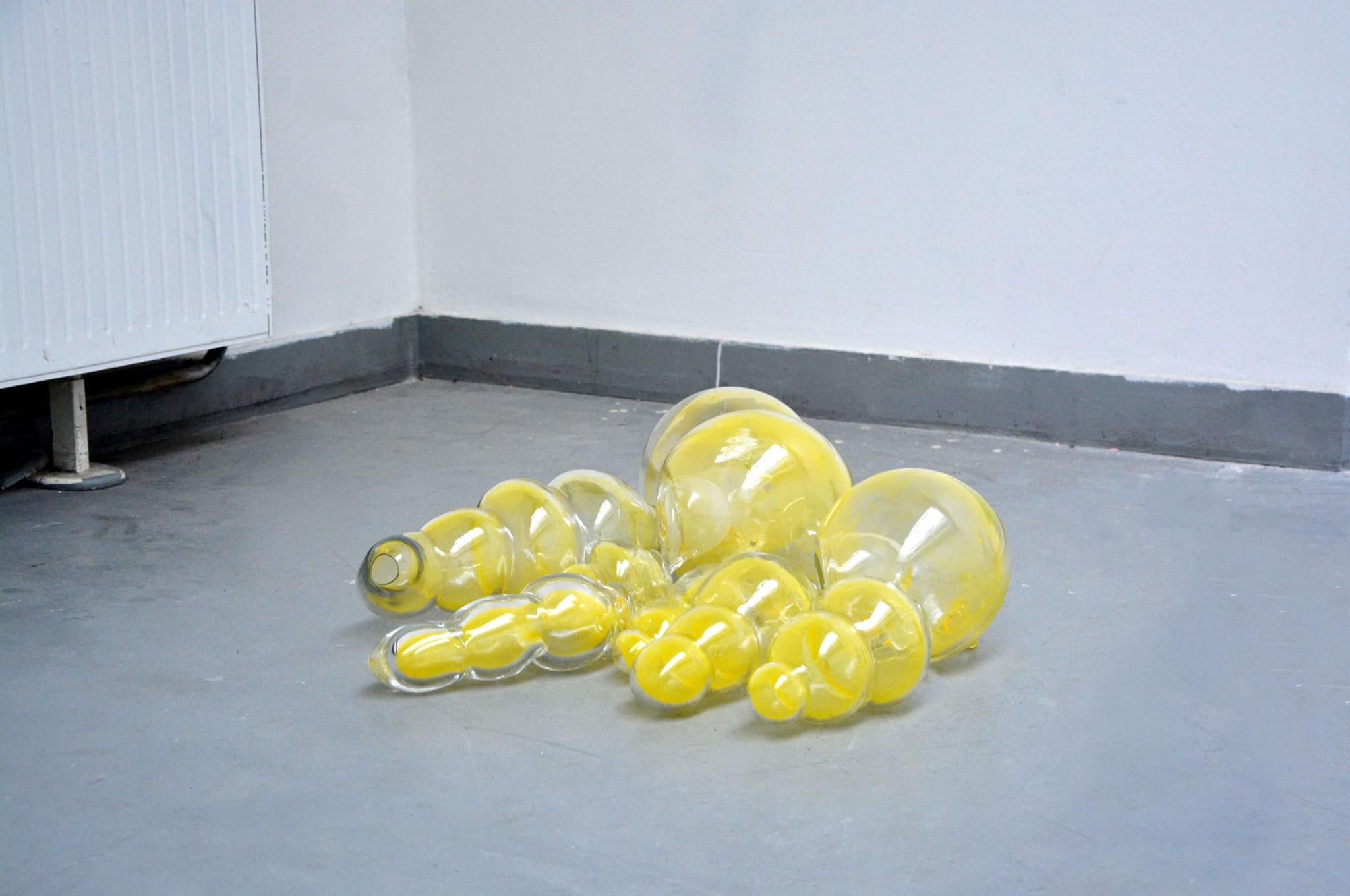 Installation in collaboration with the Montbéliard Science Lodge (Photo courtesy of Apolline Morel-Lab)