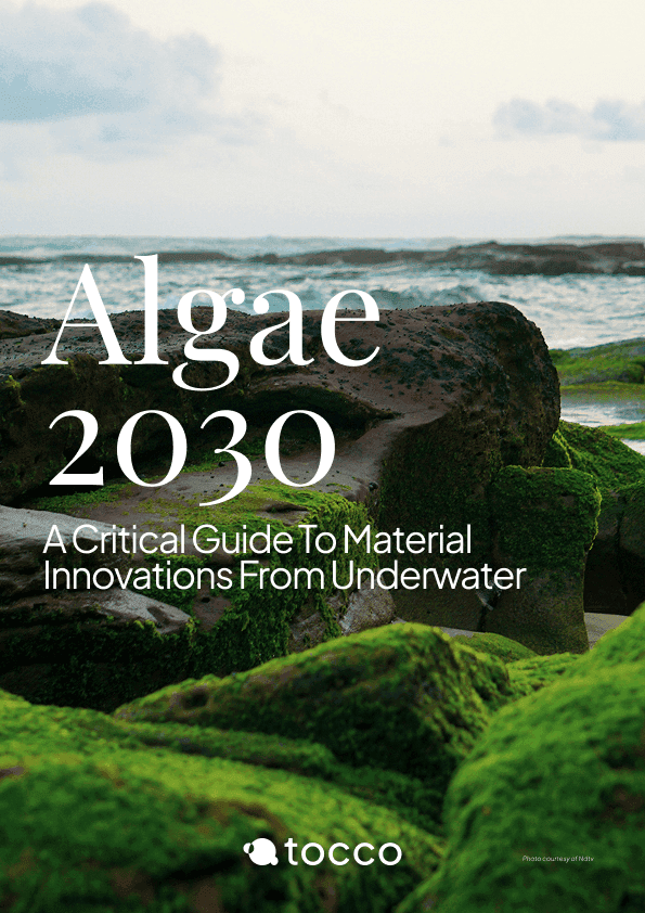 Glues & Adhesives 2030 Edition Report Cover
