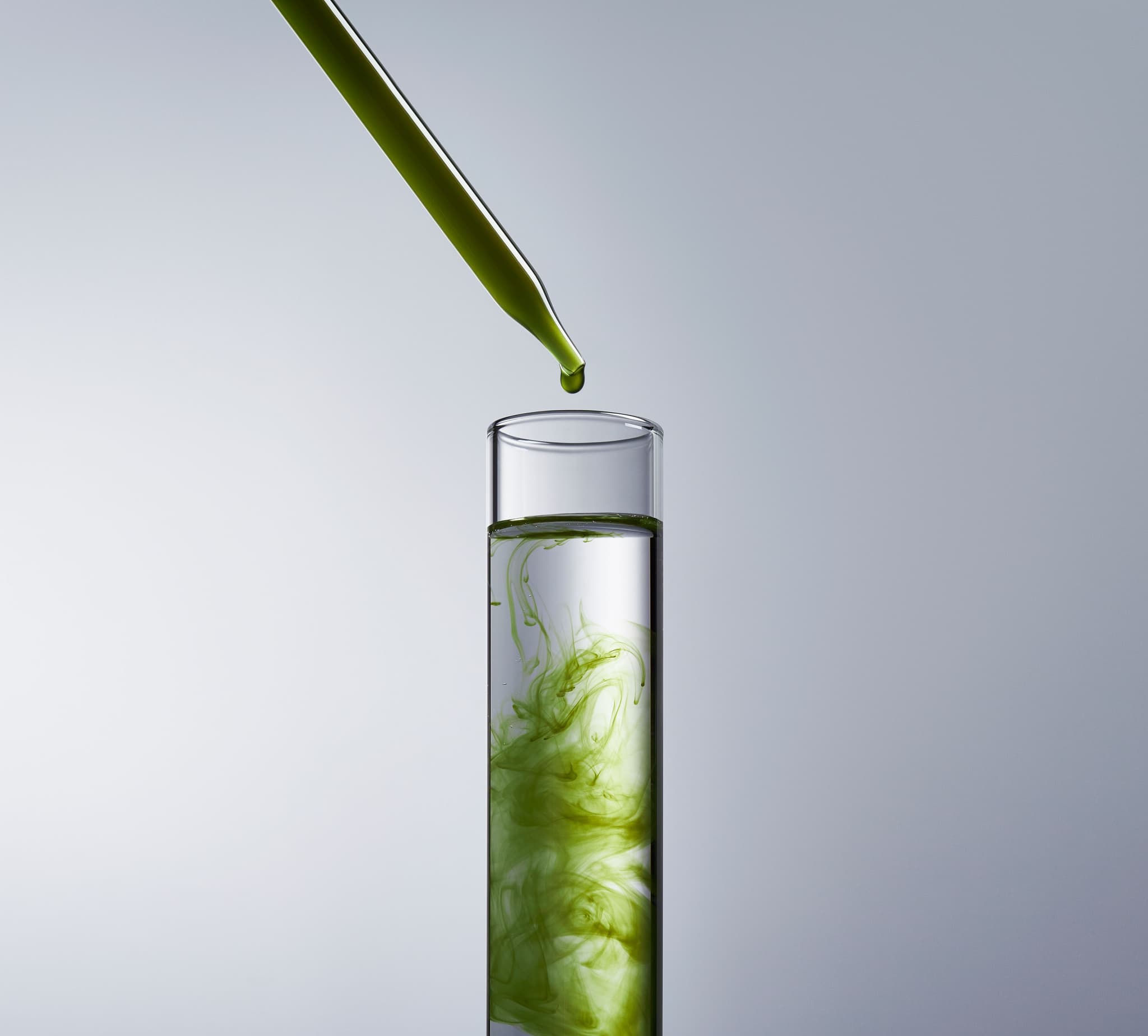 Photo courtesy of Algaeing.