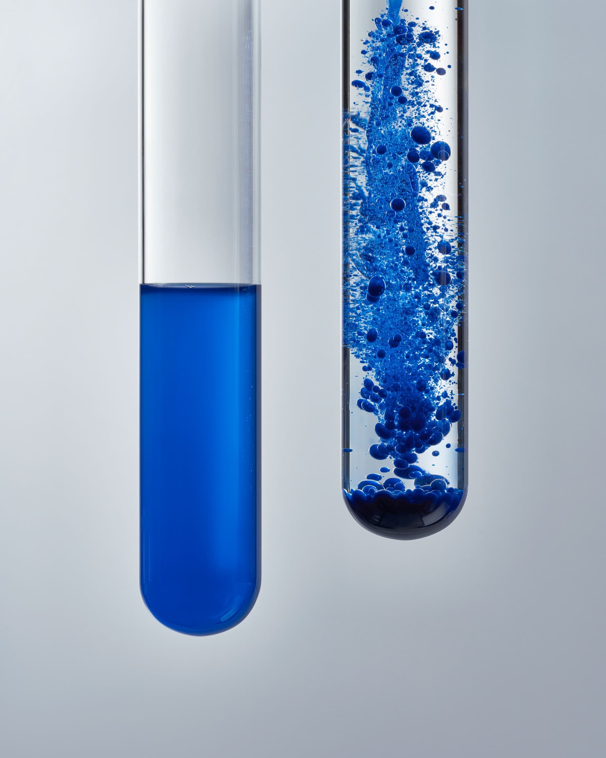 Photo courtesy of Algaeing.