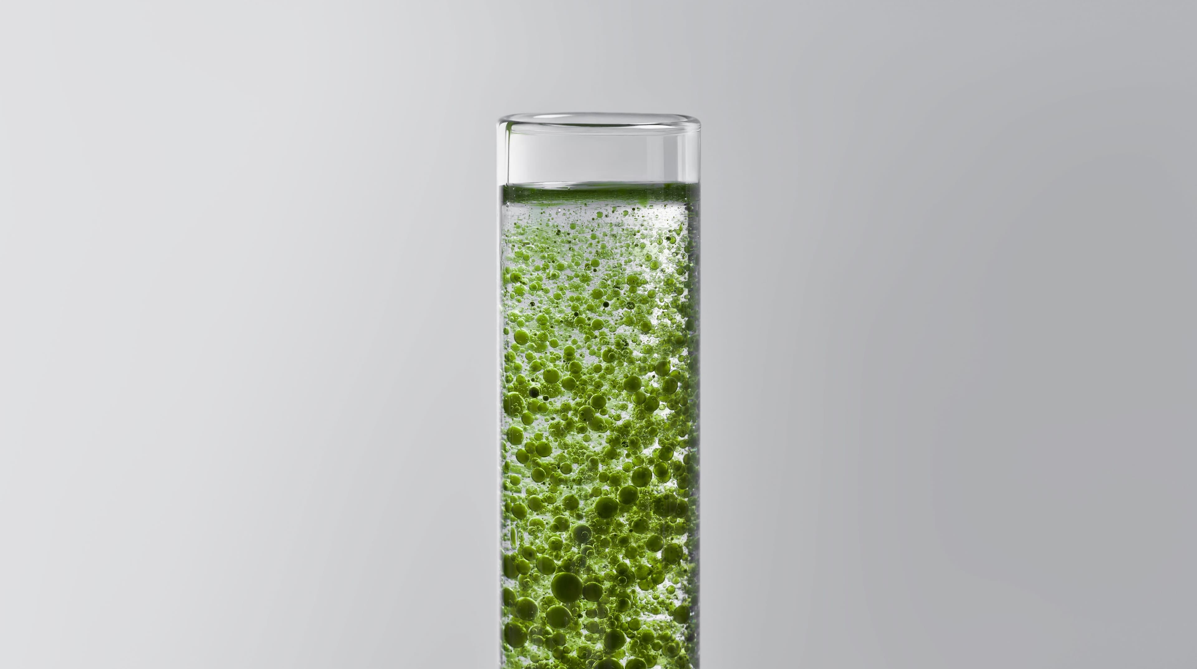 From Algae to Fabric: The Development of Algaeing’s Microalgae Dyes