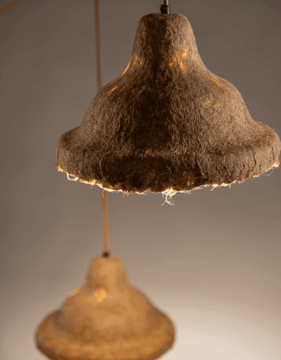 Image Credits: Jack Brandsma