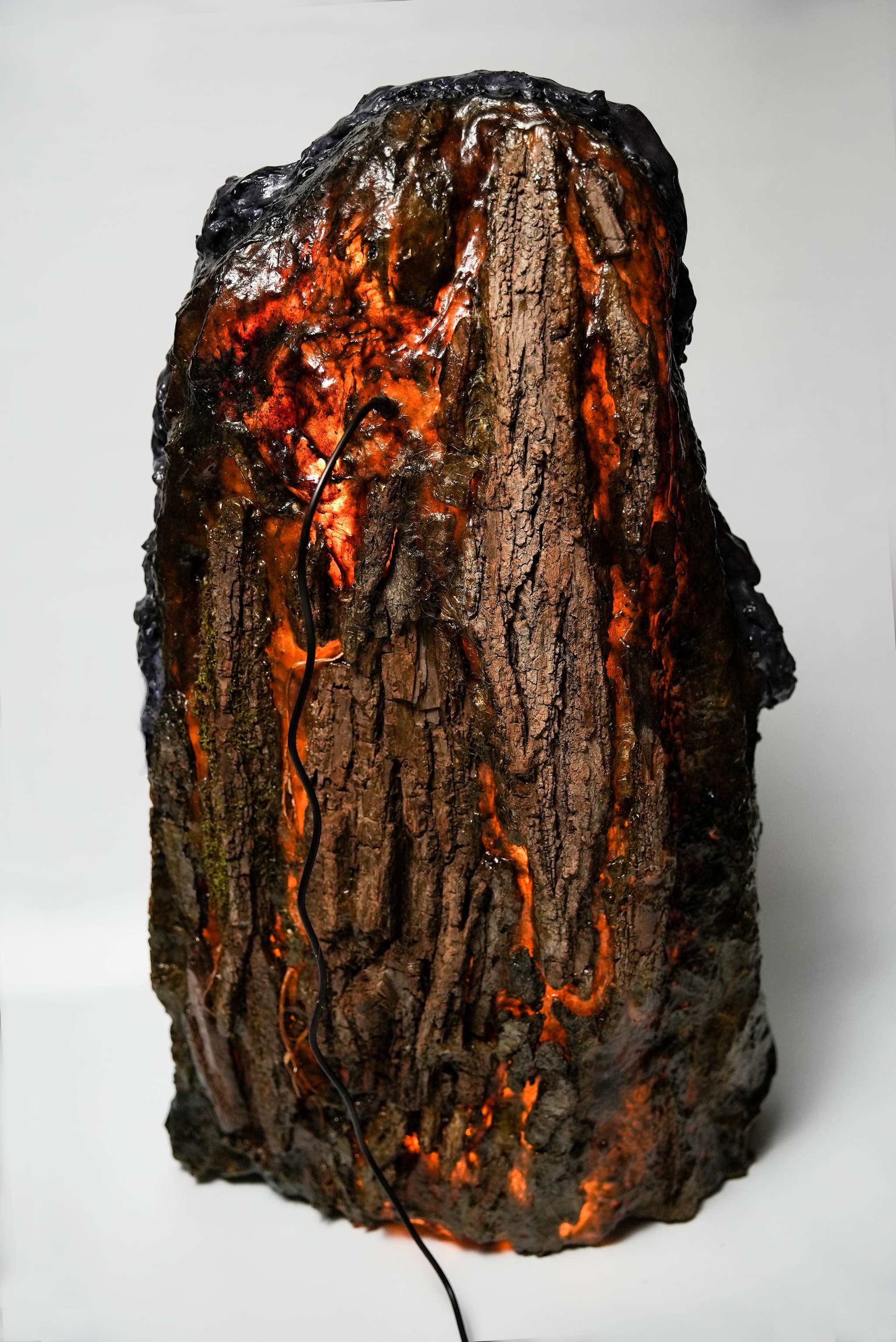 Bark Foam. Photo courtesy of Sabrina Merayo.