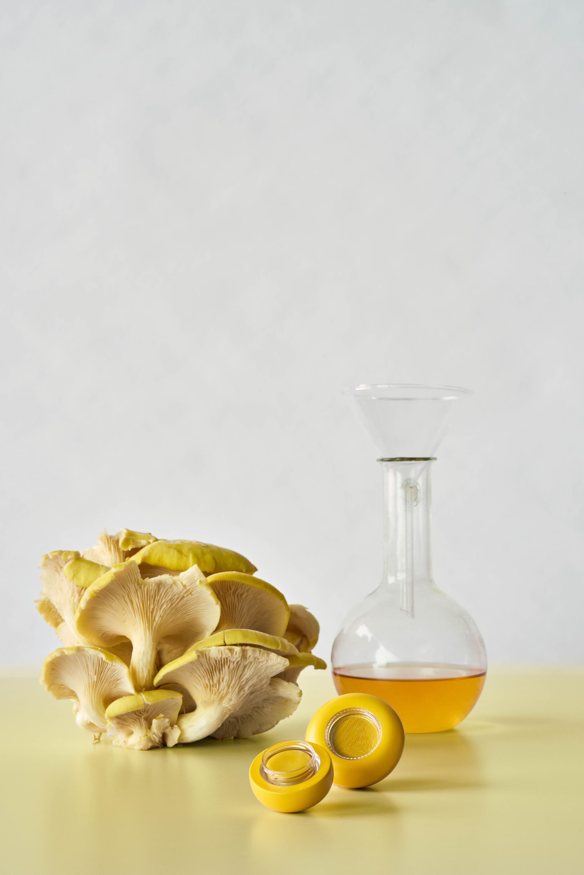 Photo courtesy of Jesse Adler.