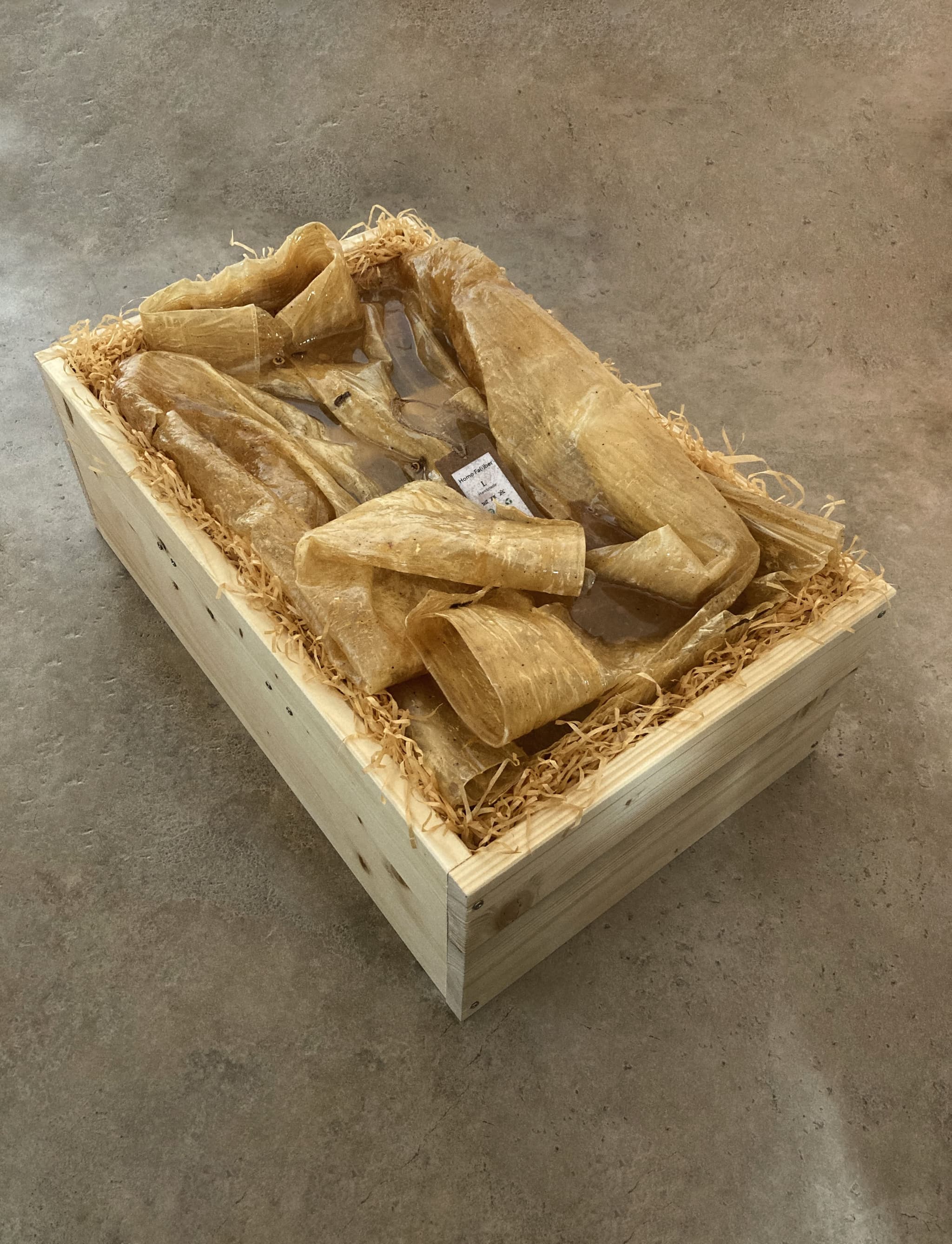 HOMO FA(I)BER ARCHIVE by Davide Viggiano (Wood structure assembly, bio-based, epoxy resin and paper shavings)