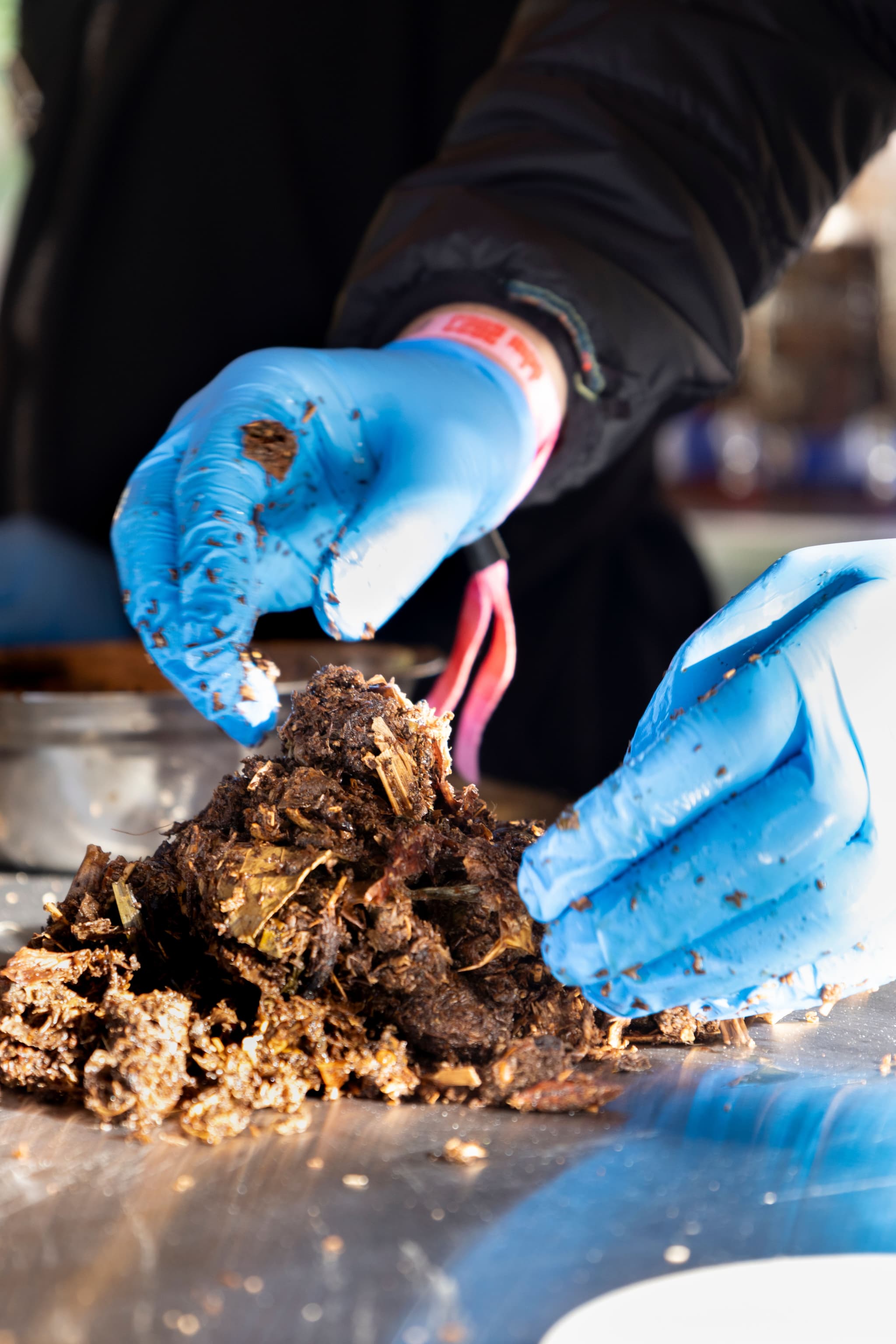 HOW substrate photo Sabrina Grouls