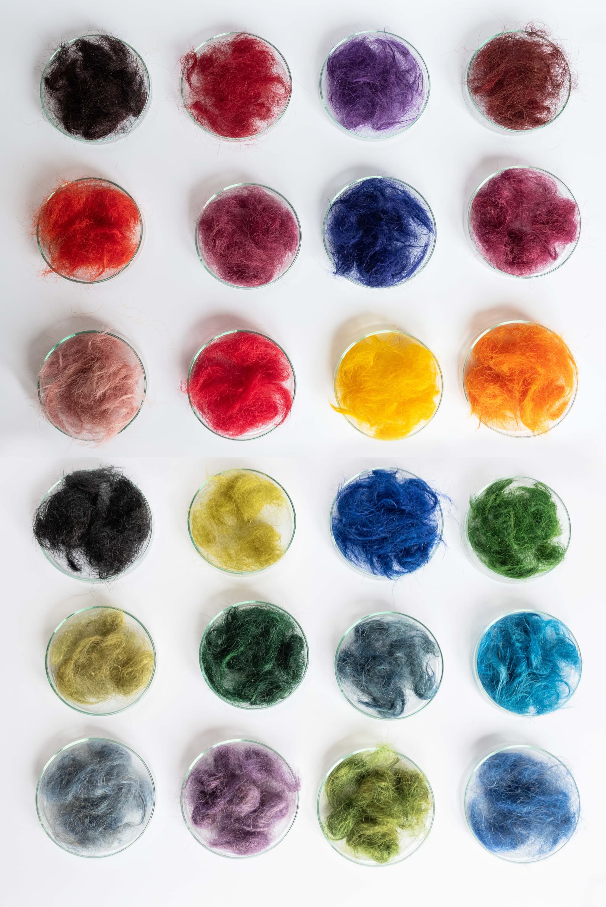 Color Samples by Human Material Loop