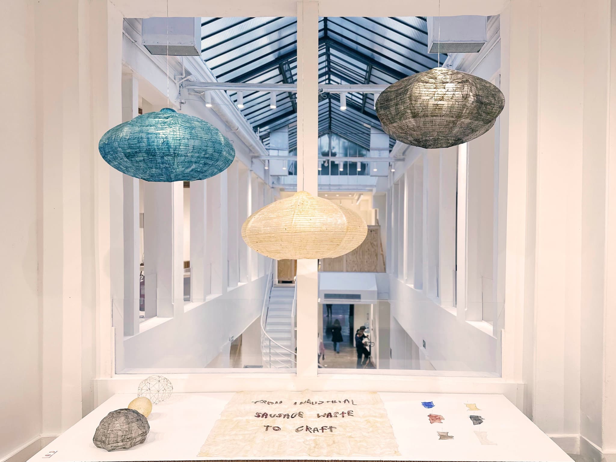 Lachamji bleu
Photo by ©LukasPersyn