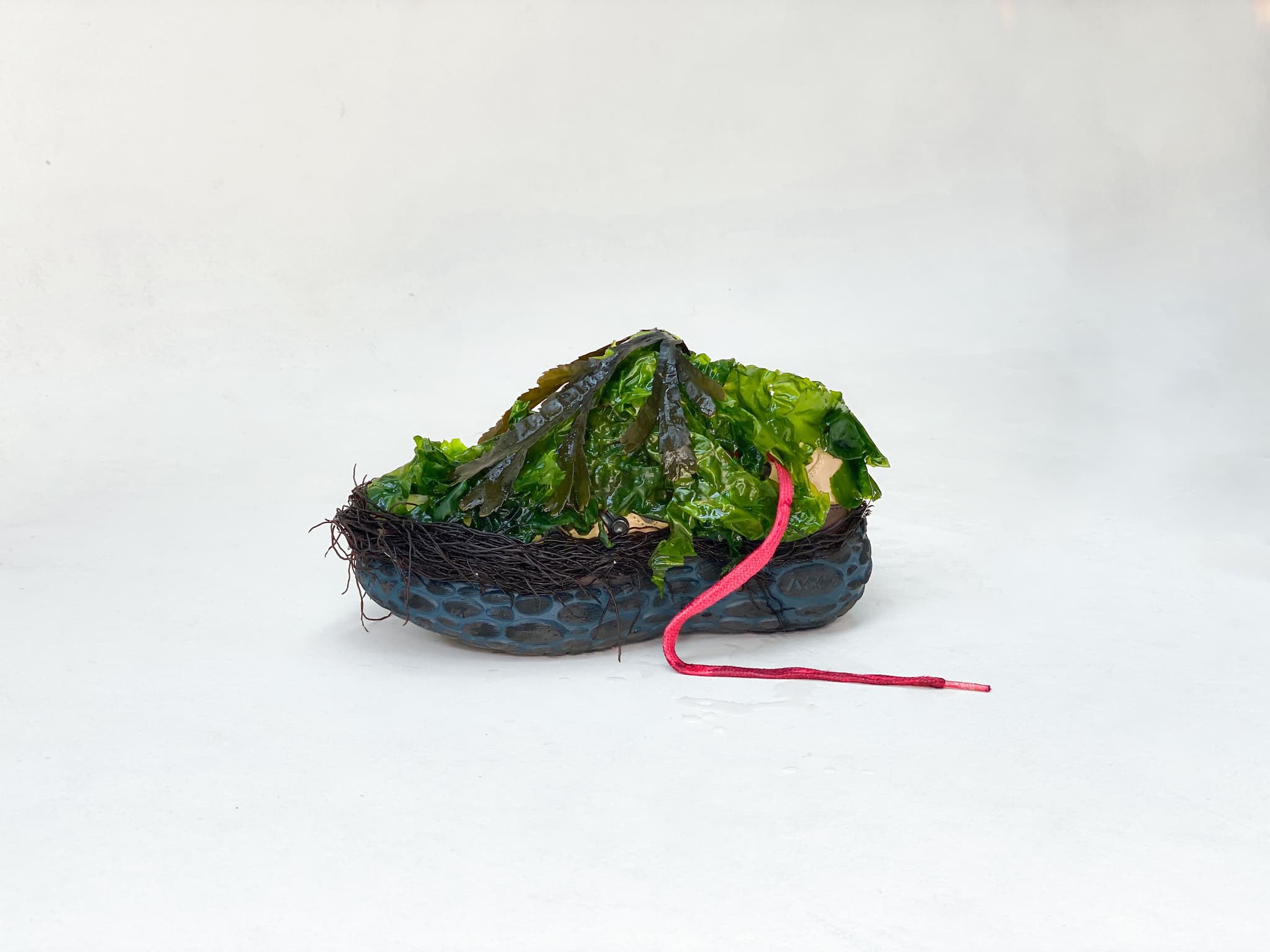 Design by Aisha Kuijk