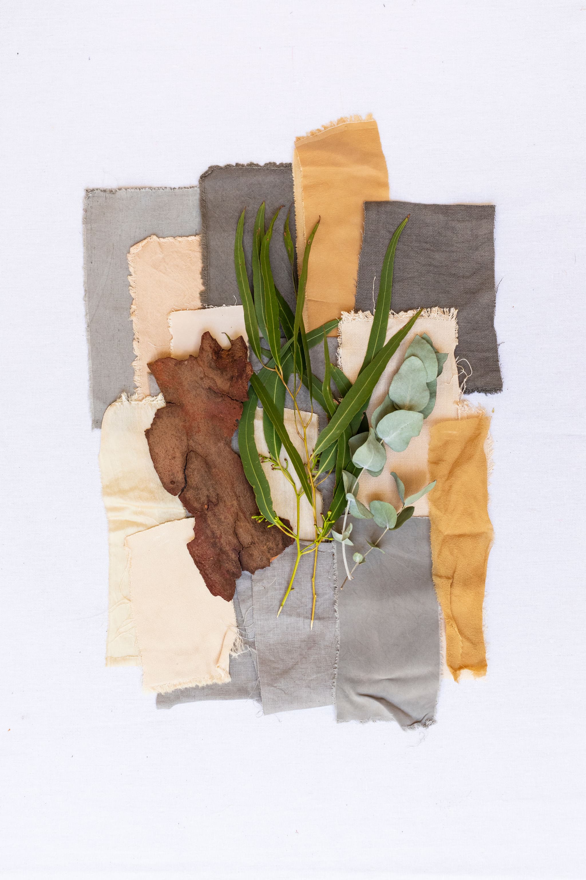 Ingredients Sourced by Mattricaria