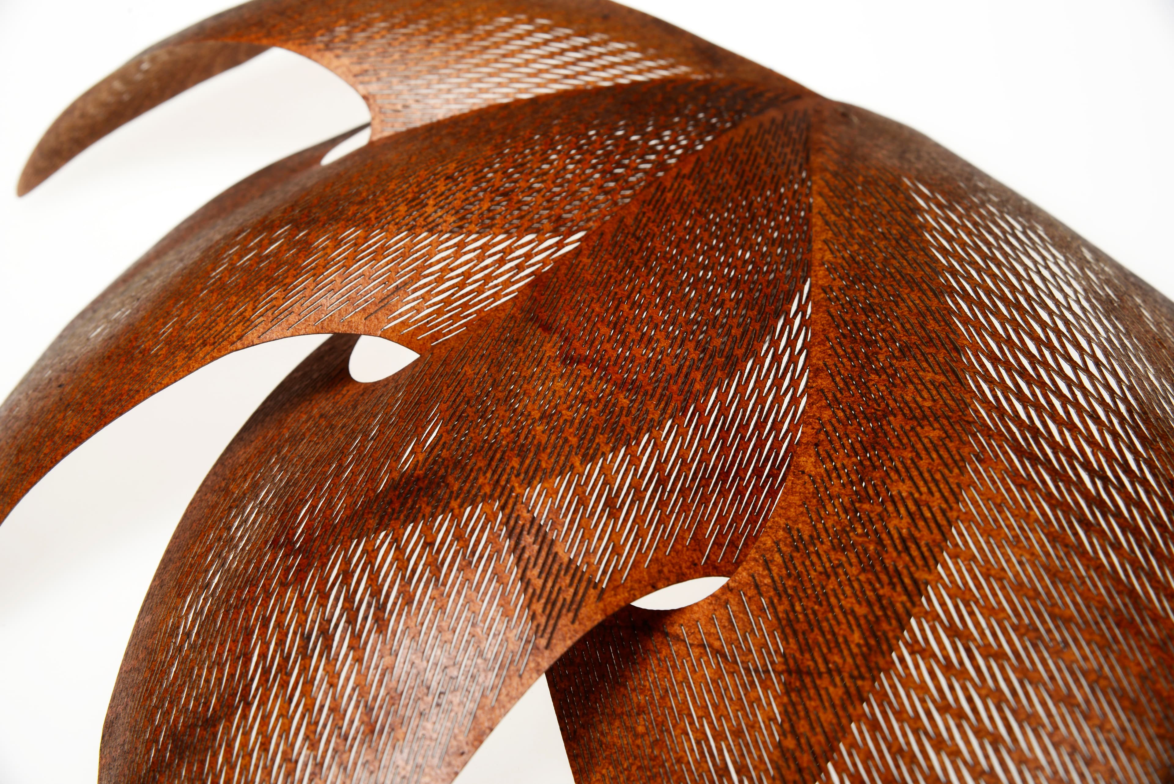 Redefining Fragility: A Dialogue Between Japanese Paper Art, Innovation, and Sustainable Design