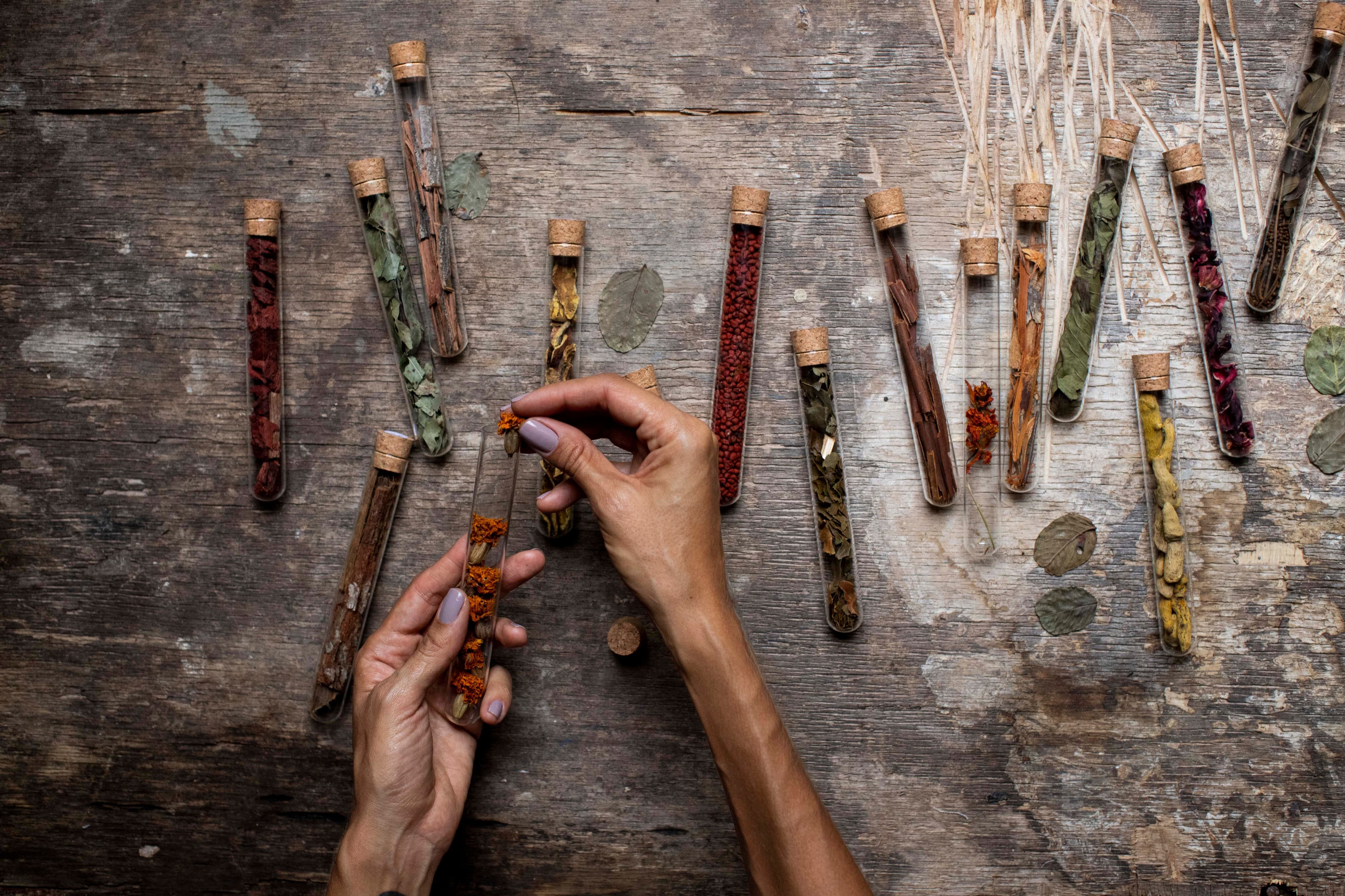 Natural Hues: The Art and Science of Standardizing Brazilian Plant-Based Dyes