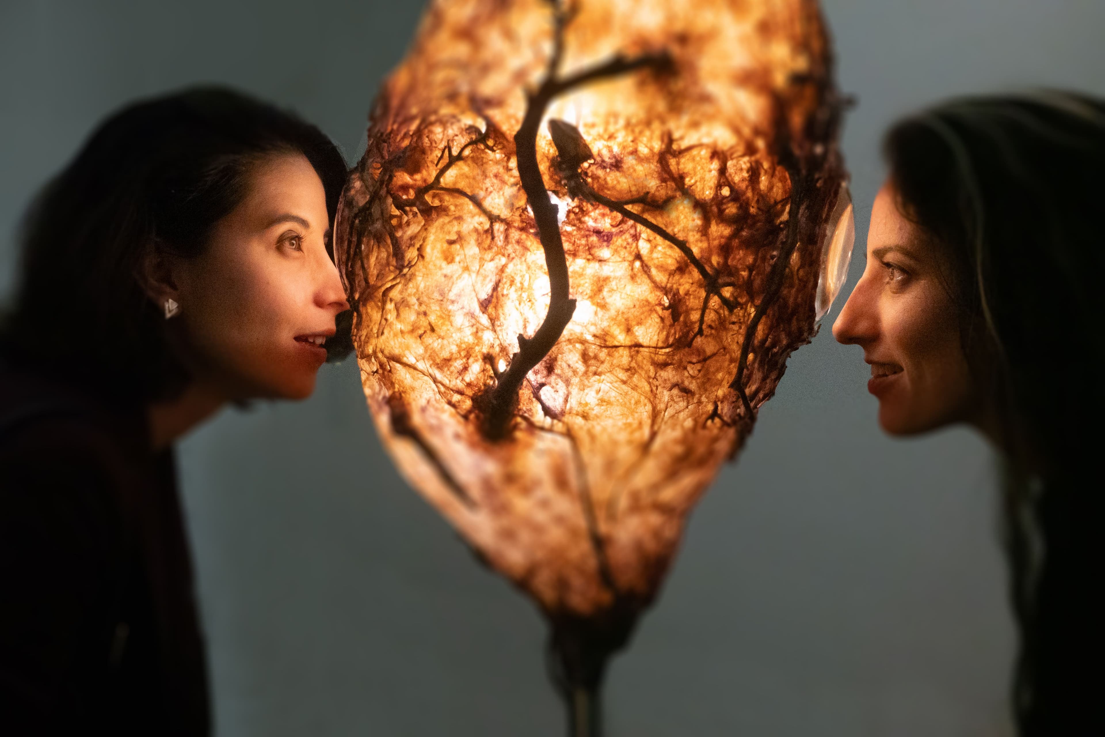 The Alchemy of Matter: Sabrina Merayo Nuñez on the Poetry and Paradoxes of Biomaterials