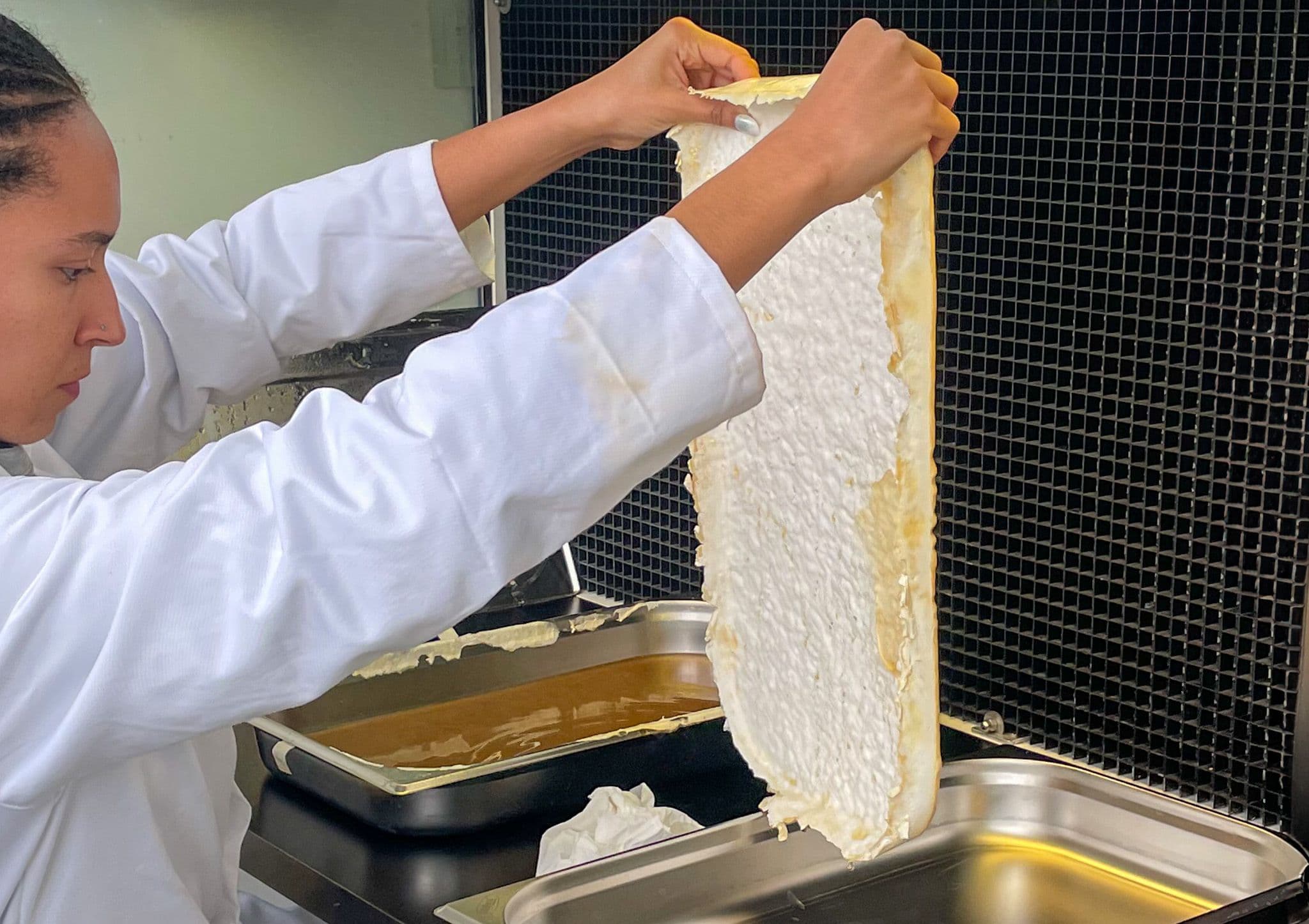 Harvesting of a mycelium skin at the VUB