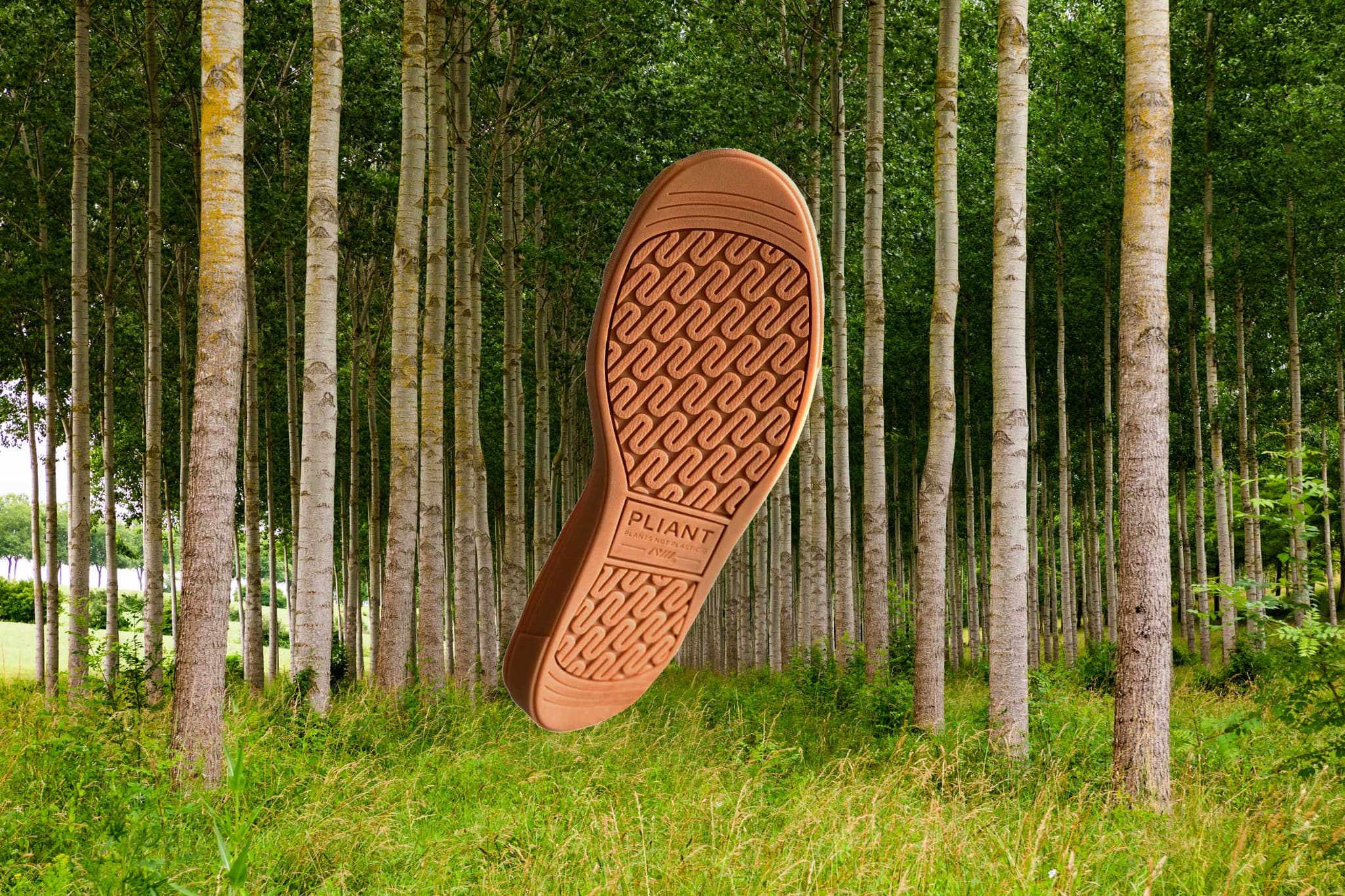 PLIANT, tough moulded compounds for shoe outsoles (Photos courtesy of NFW)