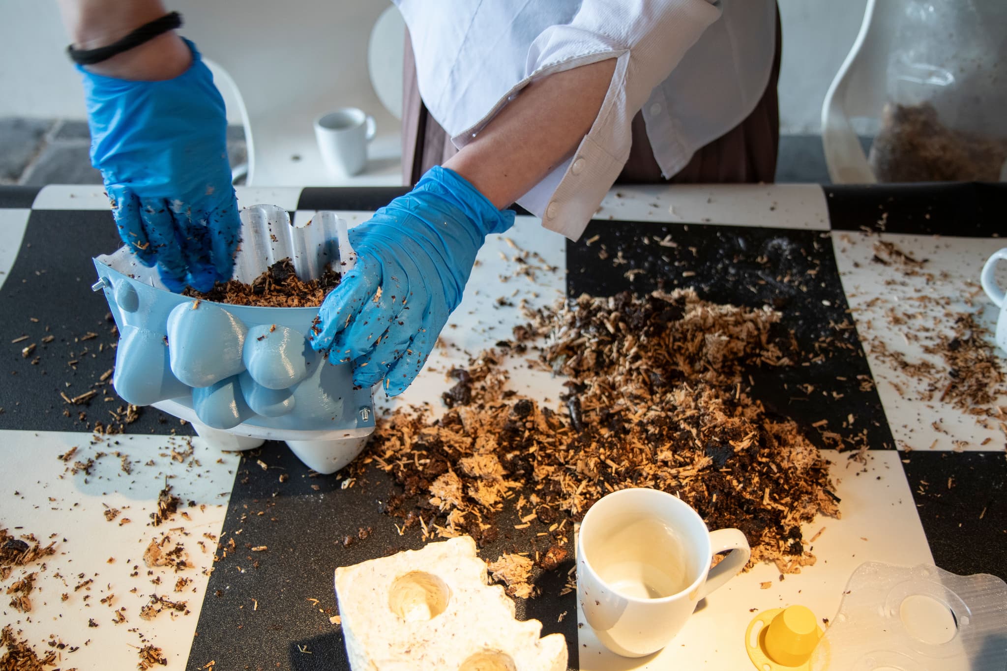 NIMMA CAN DO photo Mich Fesenmeier