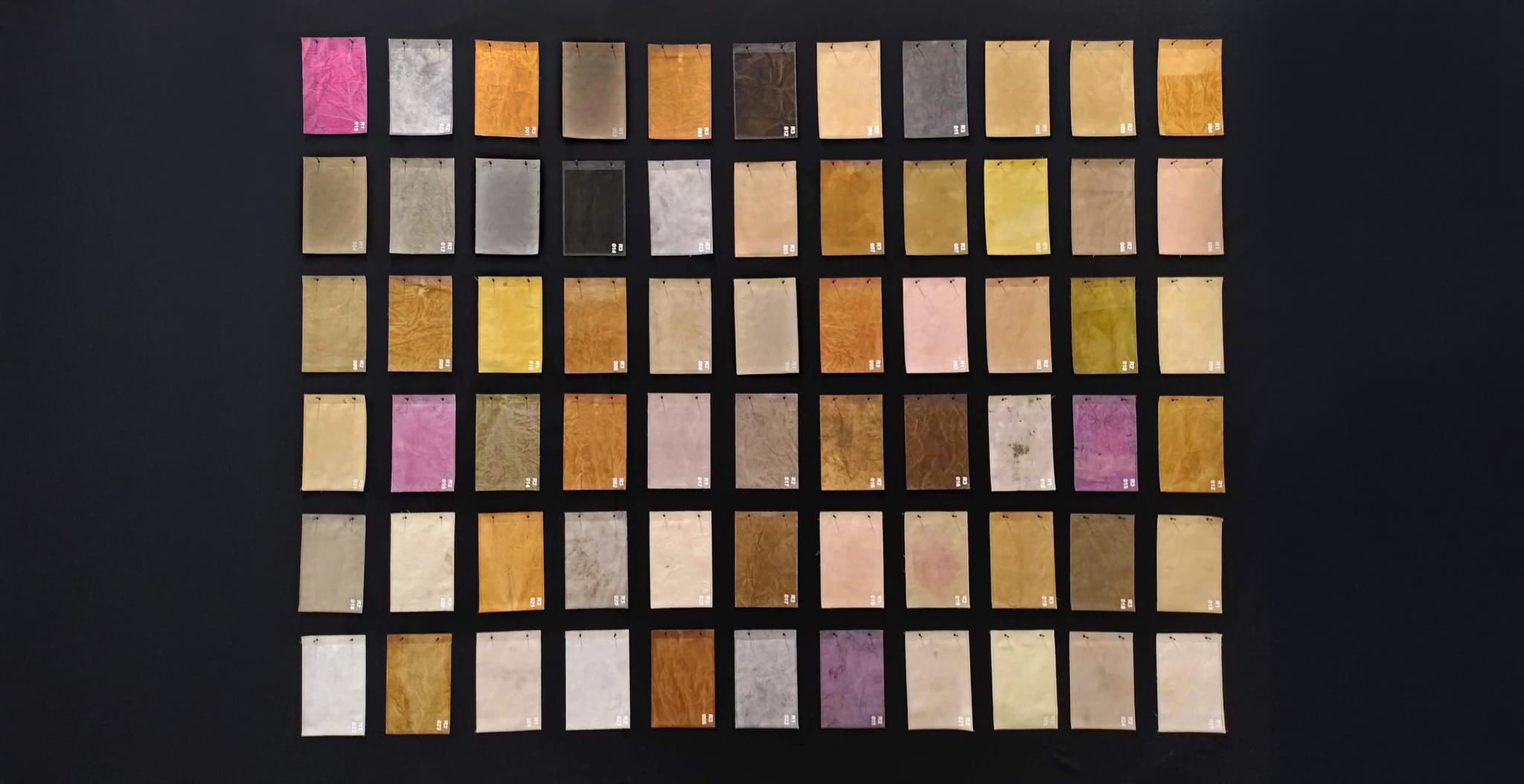 Trails of Terra Project