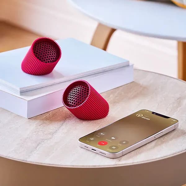 Ray Speaker by Neil Poulton