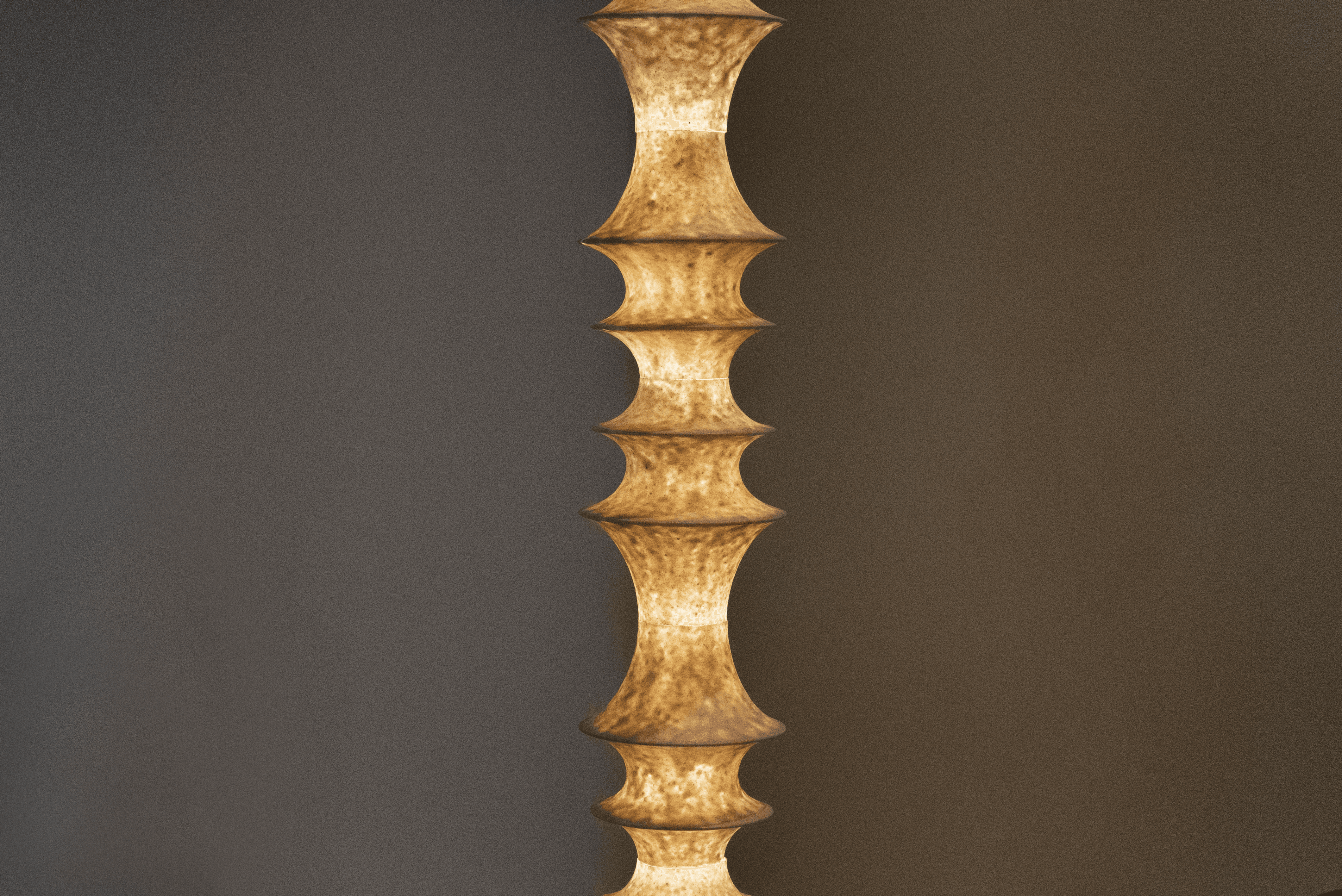 Oysters and urban birds: Nayoung Lee’s exploratory spin