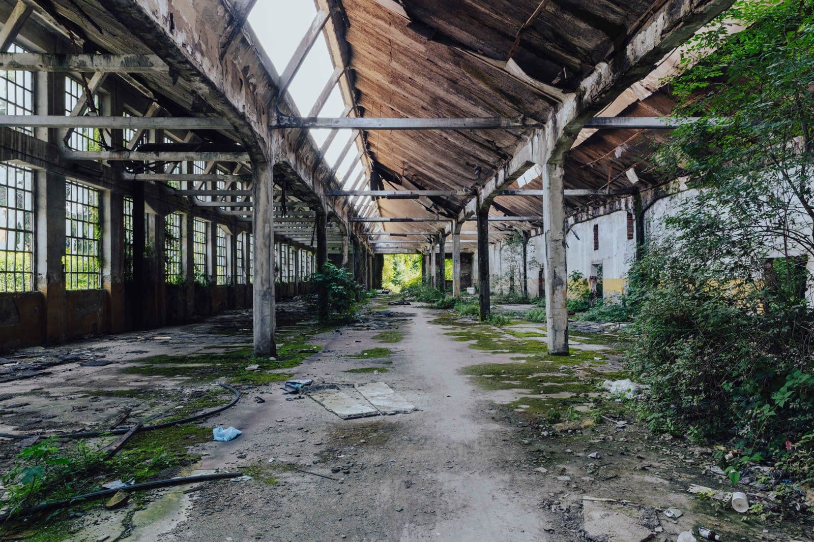 One of Alcova 2025's four locations. Photo credit: Interior Pulp