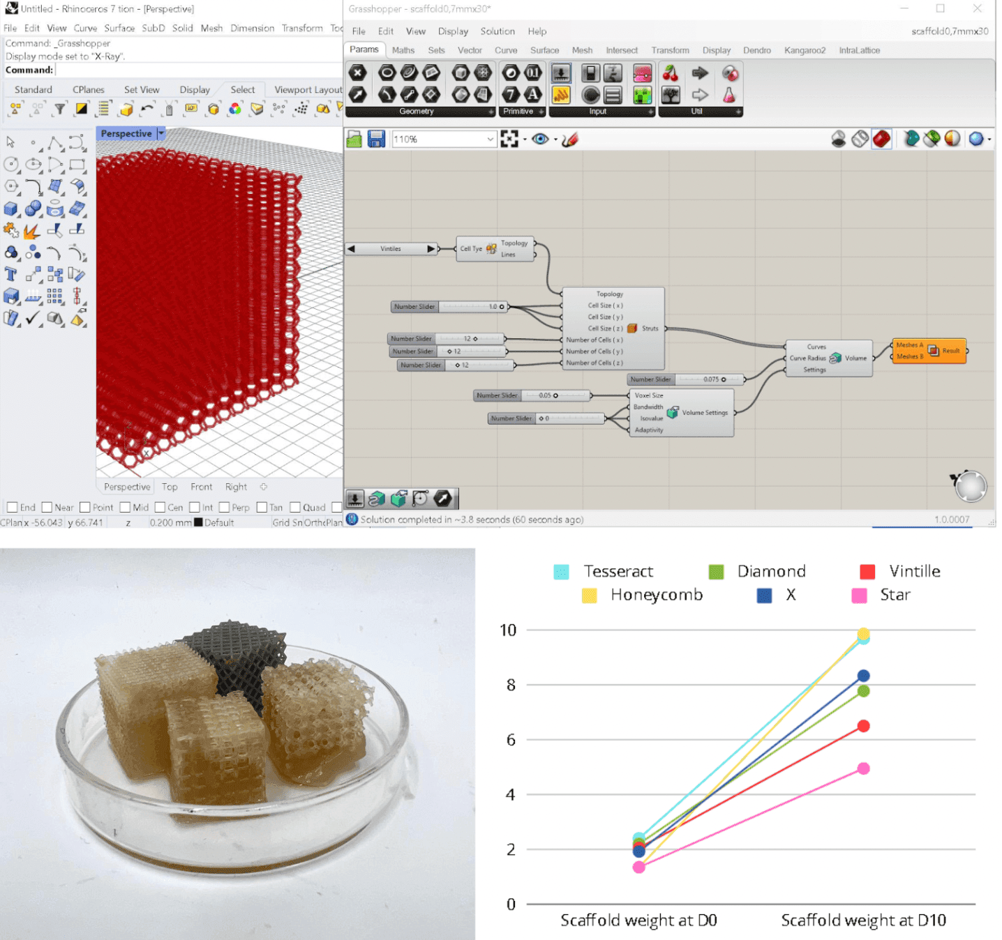 Bacterial cellulose-coated scaffold by Violette Anicet-Merveilleux. At the top, generation of a scaffold algorithm on Grasshopper for 3D SLA printers. The project shows a modular DIY biofabrication project demonstrating an accessible, reproducible method for growing 3D bacterial cellulose scaffolds (on the left) for medical applications, integrating modeling, culture preparation, and quality assessment (on the right)