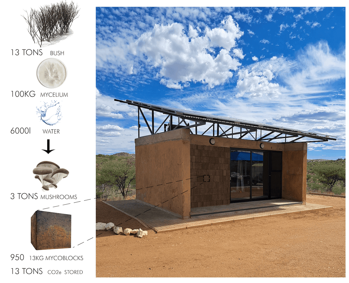 MycoHAB exterior design