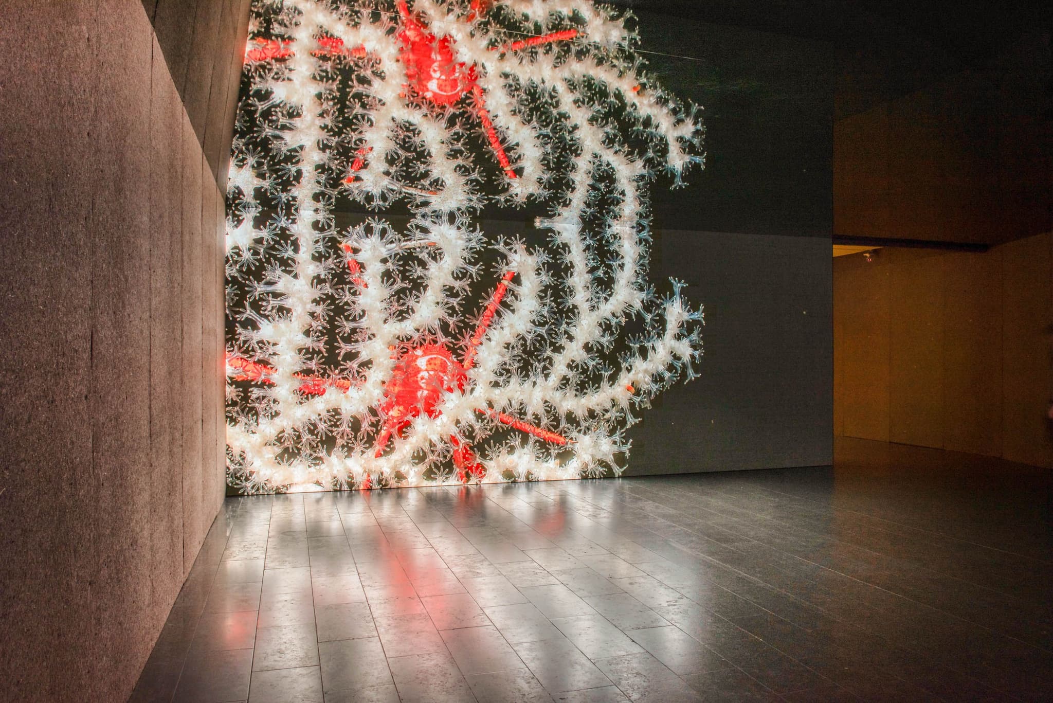 Installation by Emilija Skarnulyte with Søuld panels from floor to ceiling at Louisiana Museum. Photo courtesy of Louisiana Museum of Modern Art.