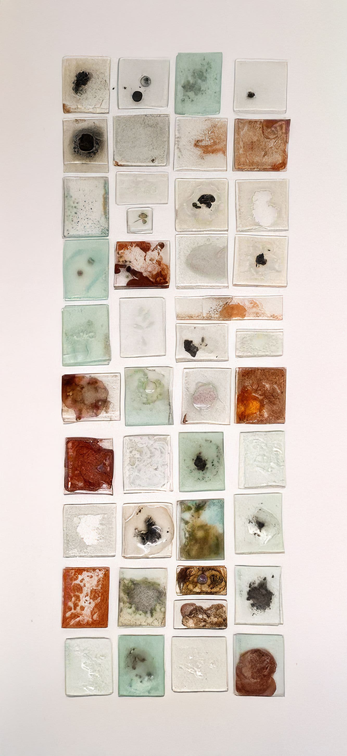 Trails of Terra Project