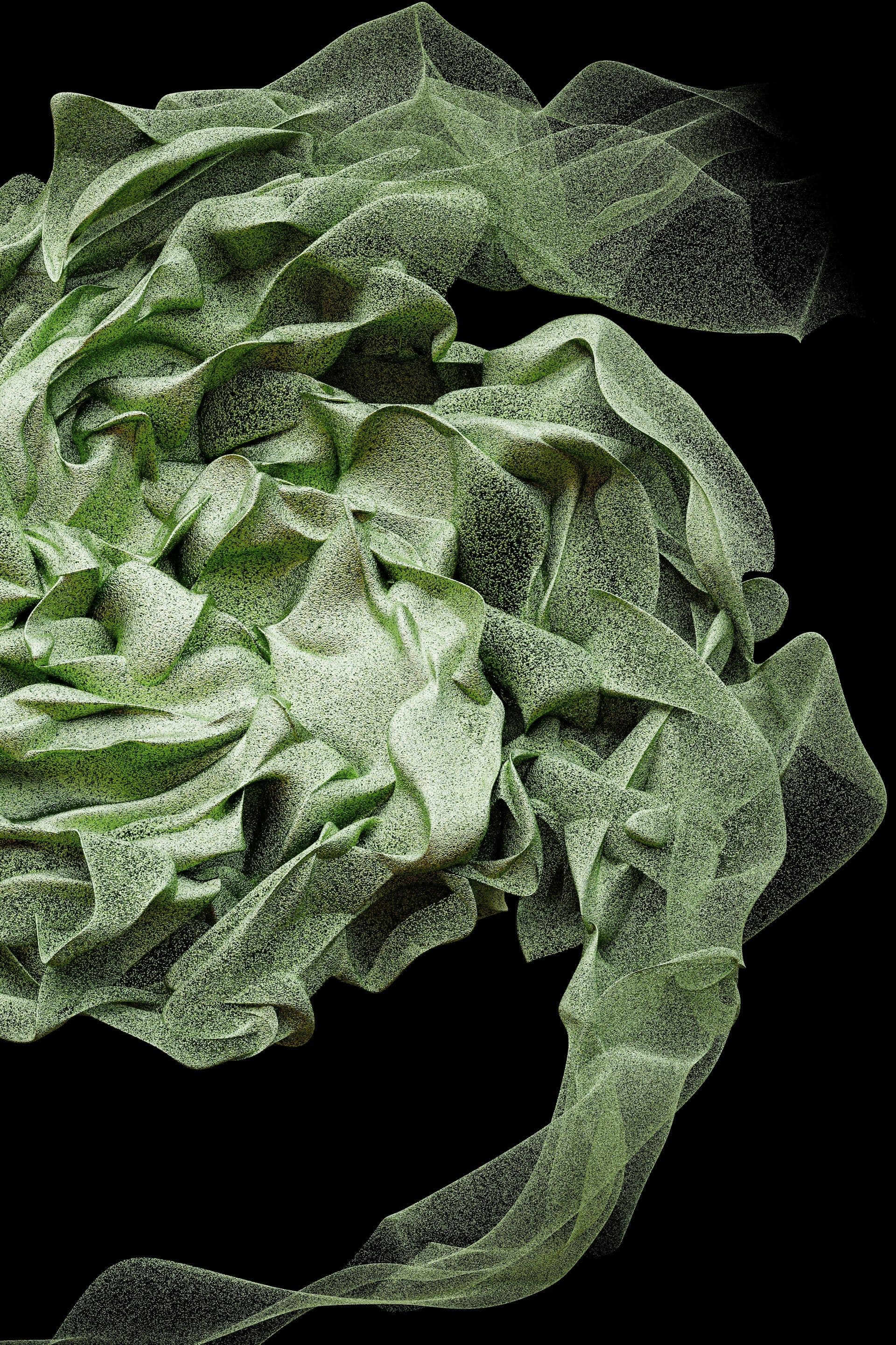 Map of Future Matters 2024