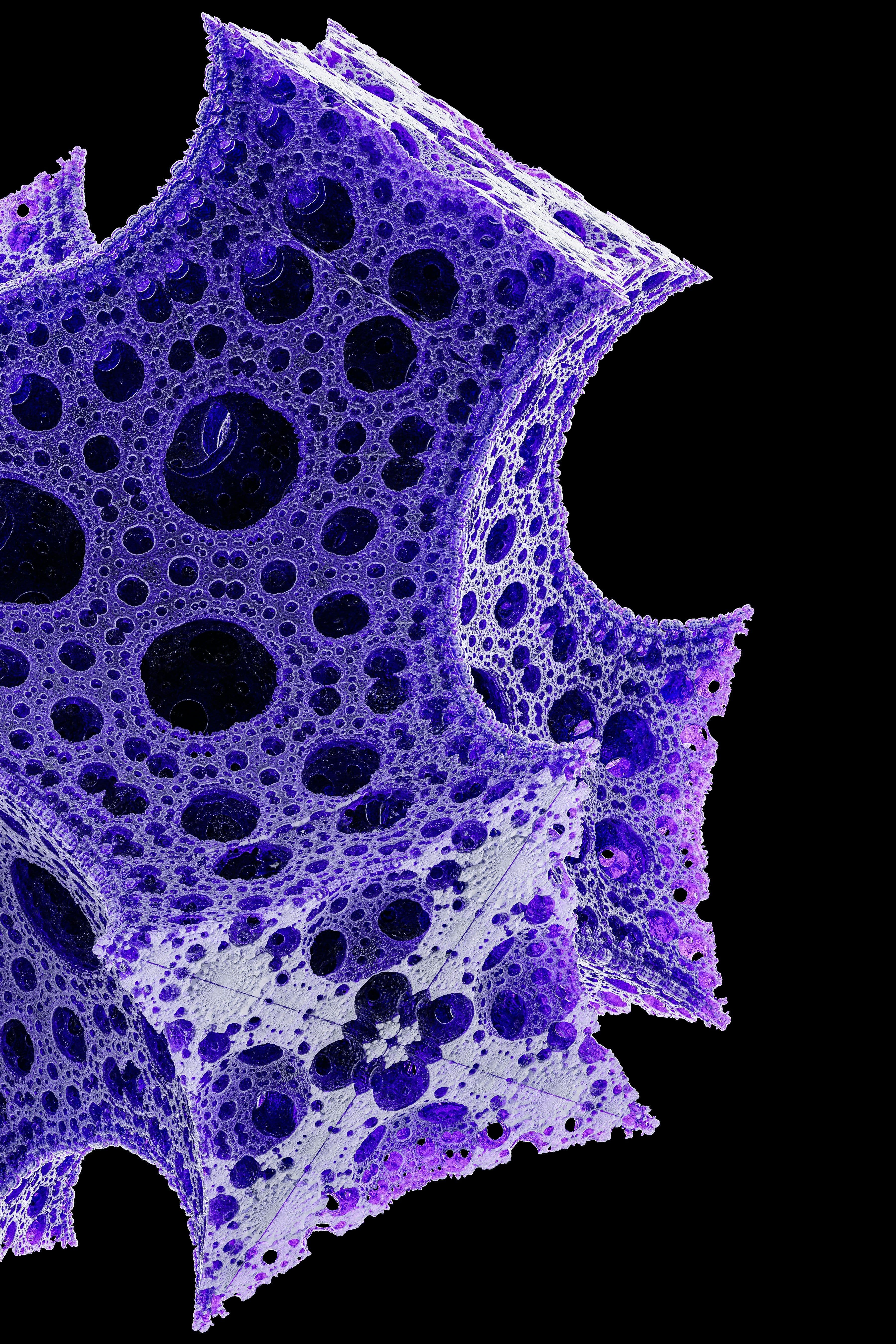 Tocco Report: BIOECONOMY 2025 EDITION