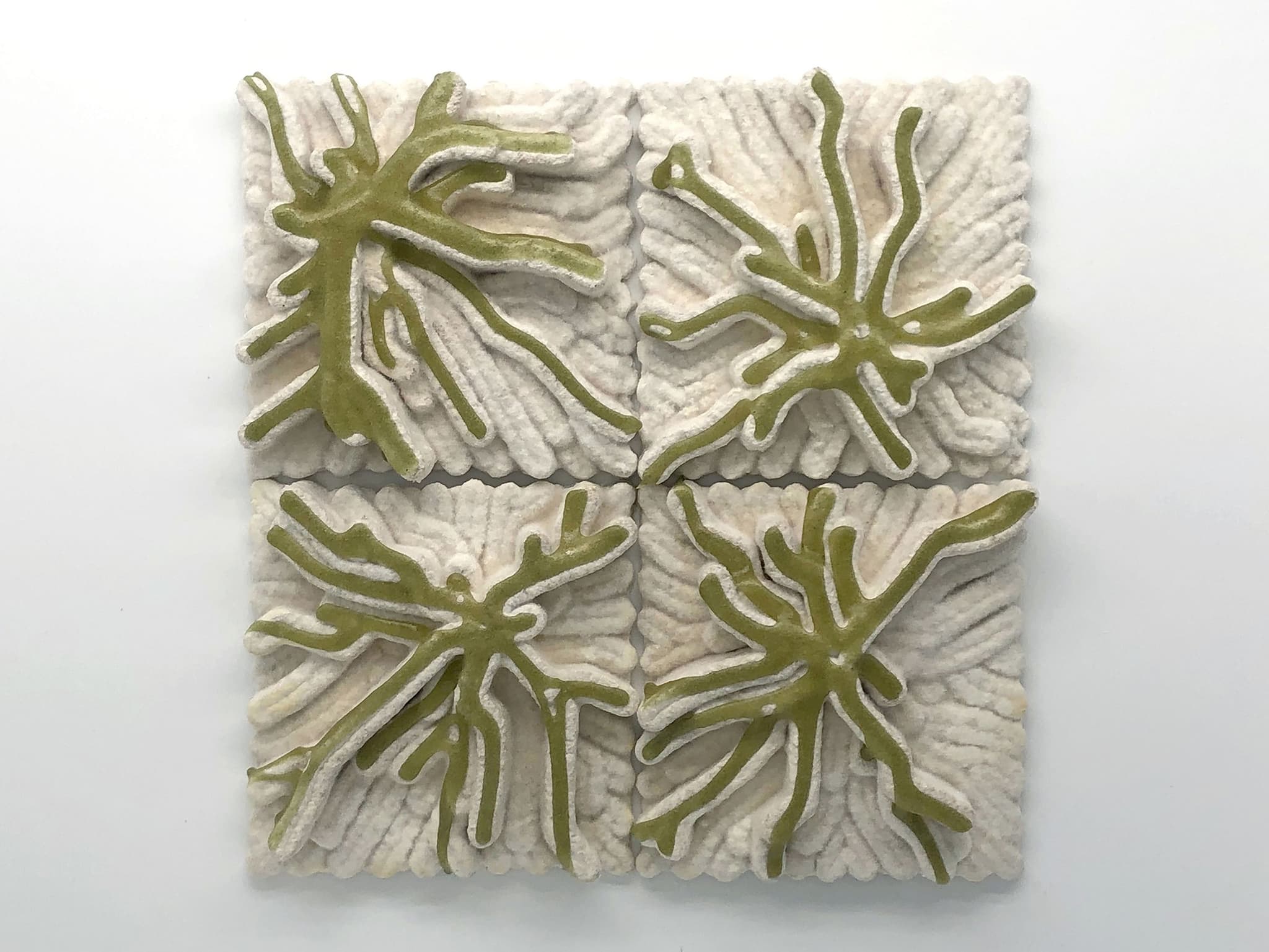 bioMATTERS Collection