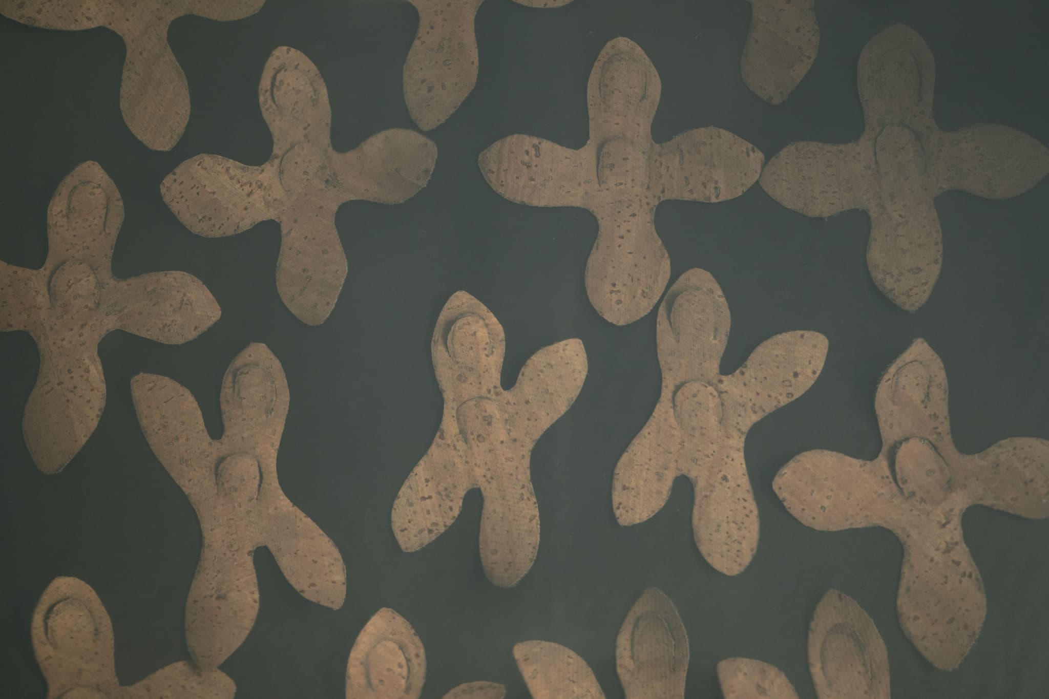 Cork before spore application