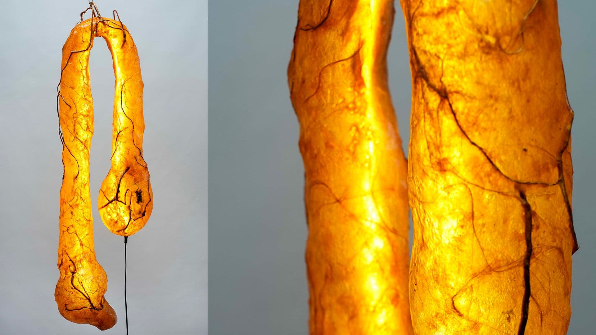 Sensorium. Photo courtesy of Sabrina Merayo.