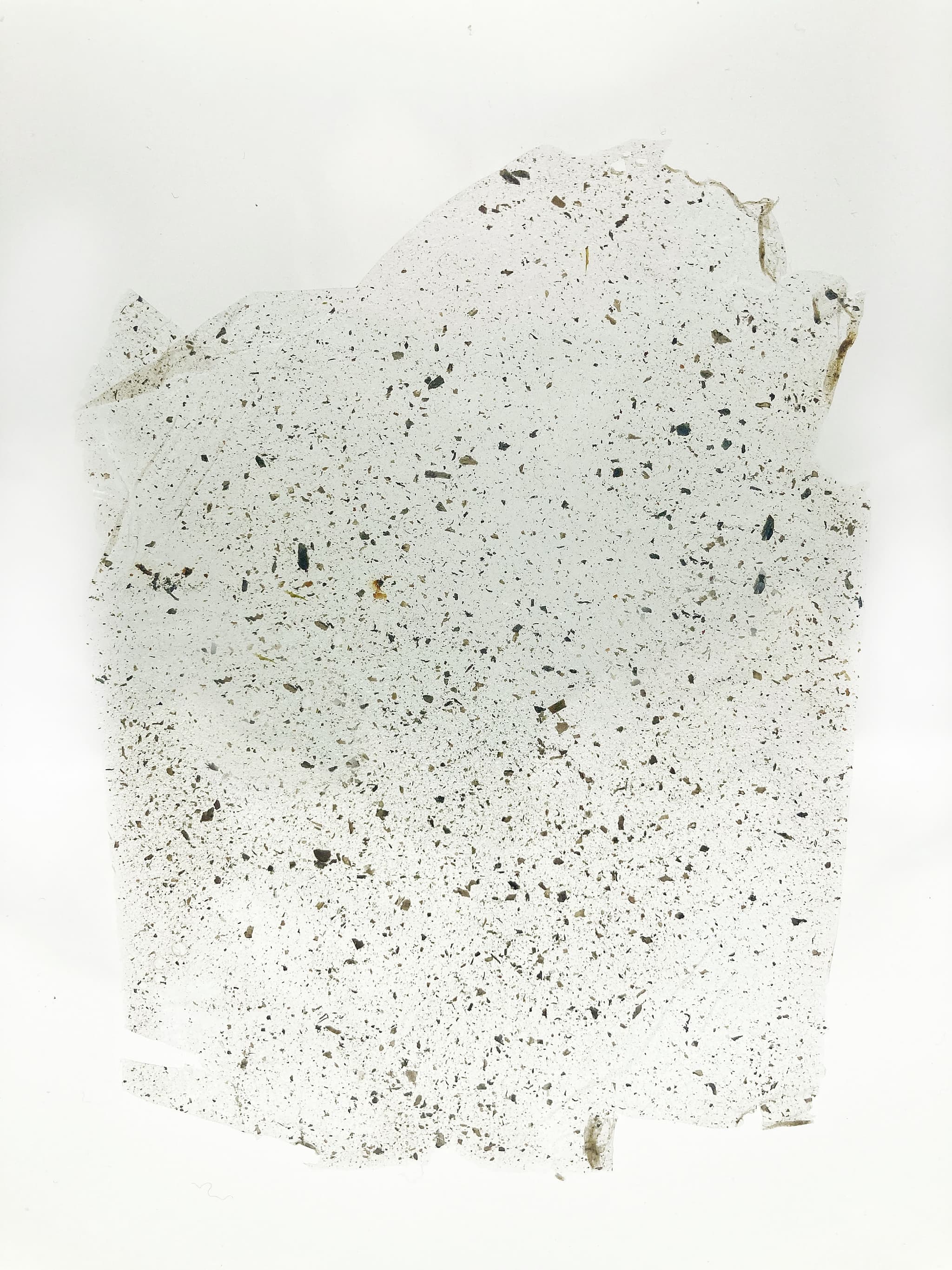 (in)sedi(a)menti ("Settlements") by Davide Viggiano (Biomaterials in wood frame and plexiglass)