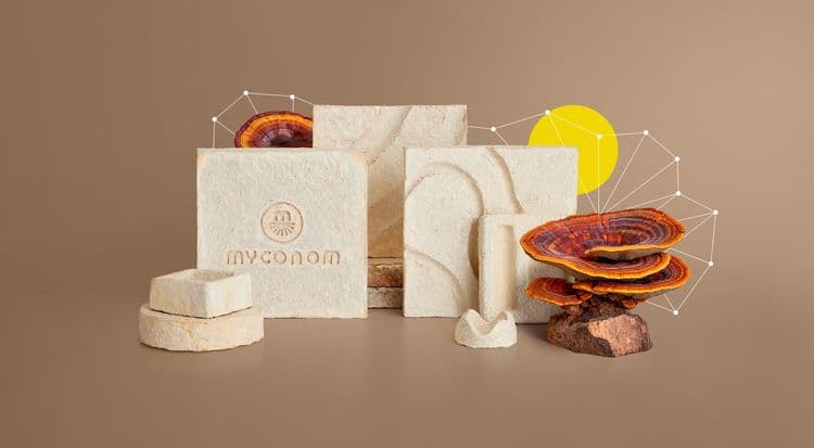 Hushed by Nature: Myconom Mushroom Panels Let the Silence Bloom