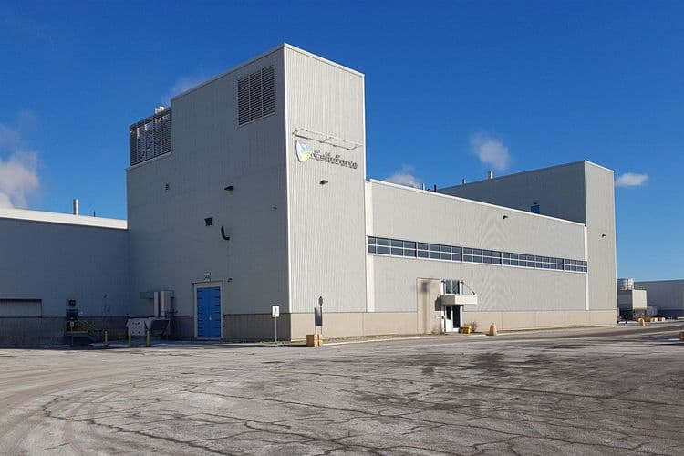 CelluForce Makes Wood-Pulp CNCs for Stronger Coatings and Cleaner Emulsions