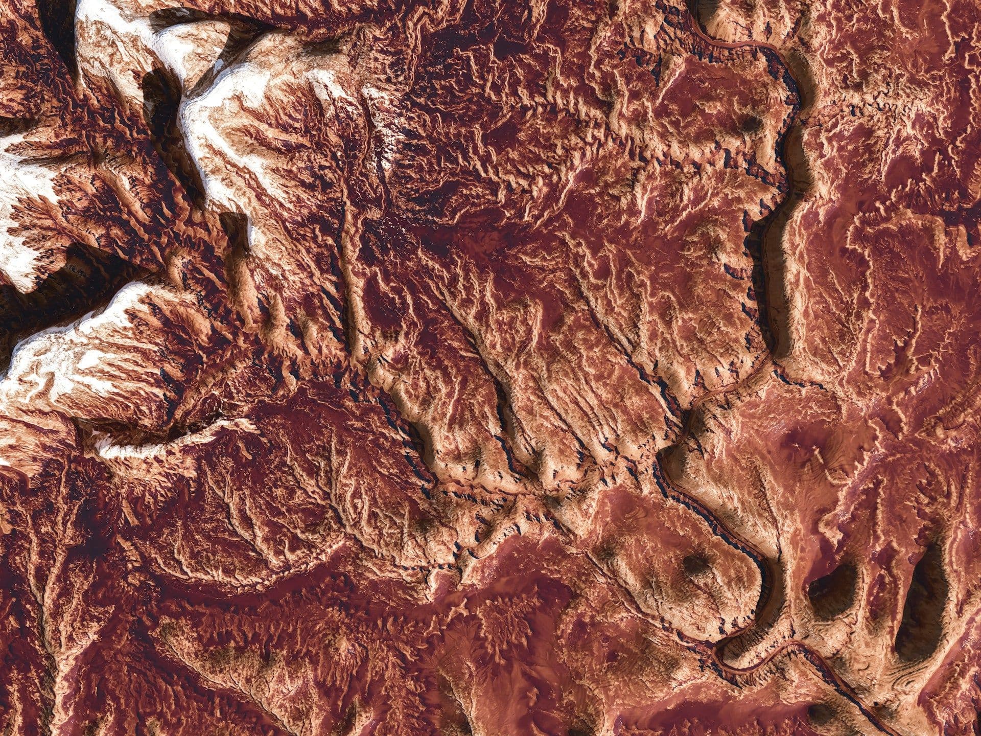 Tocco Report: Unleather Leather 2025 Edition