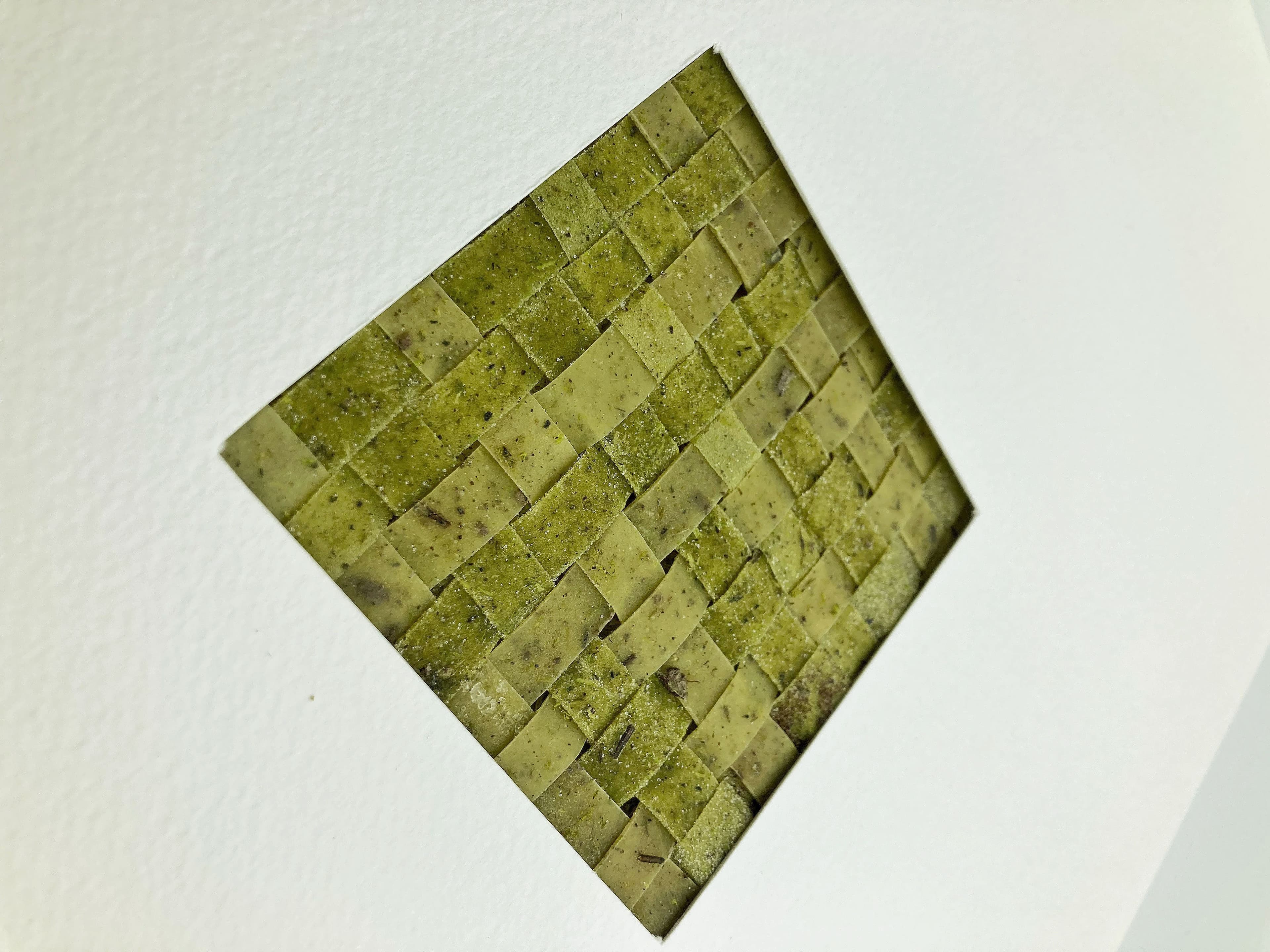 Sculpting skins: bio-sculptures of Davide Viggiano